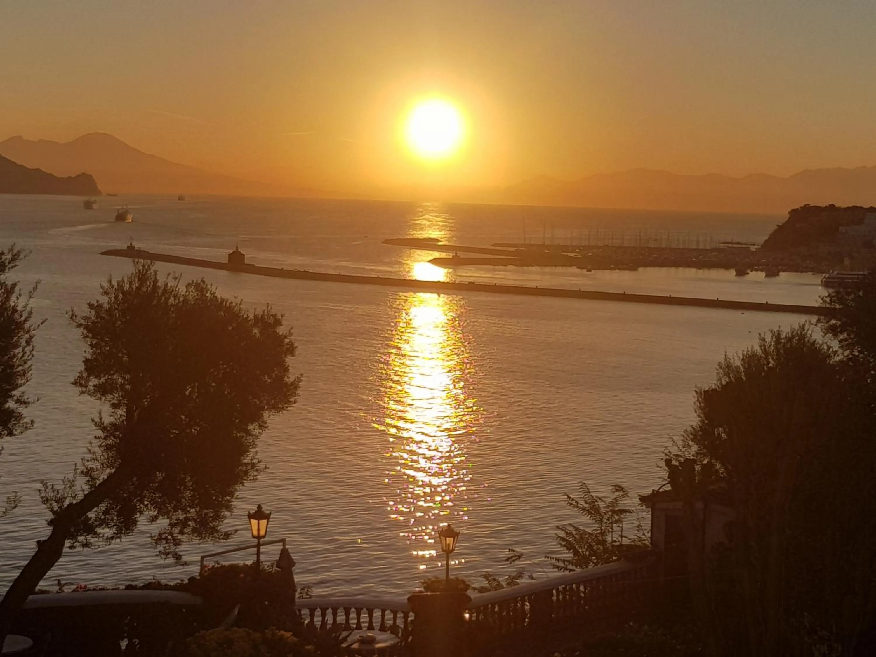 Garden view in Summer Paradise