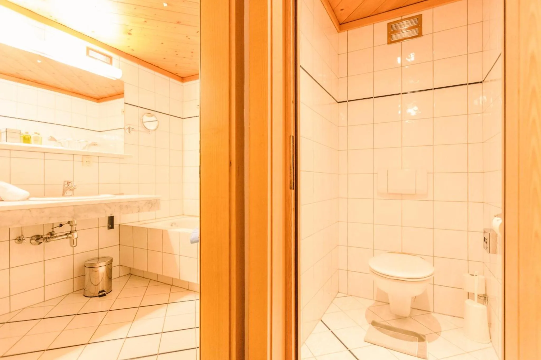 Toilet in Hotel Glemmtalerhof