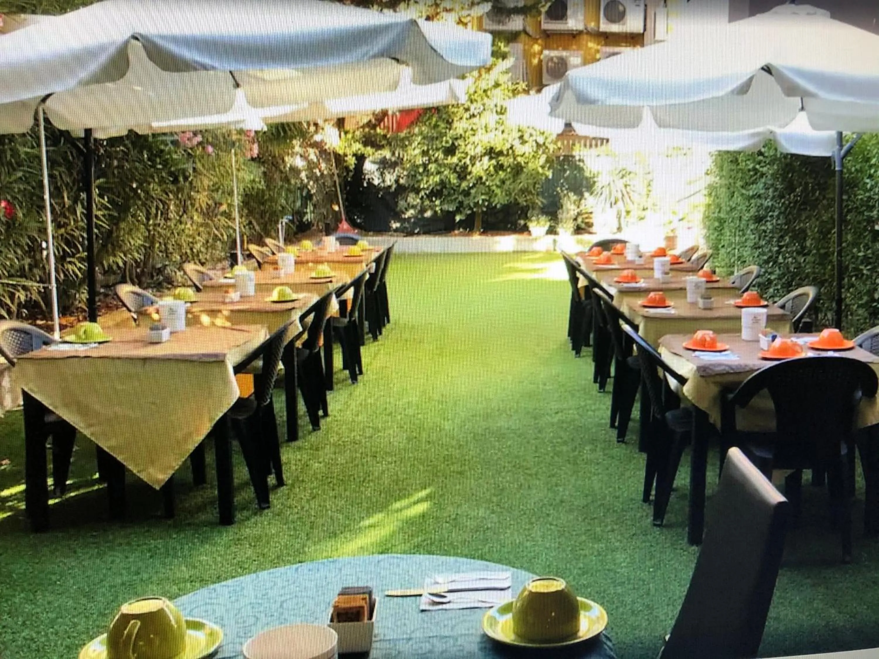 Garden in Villa Regina