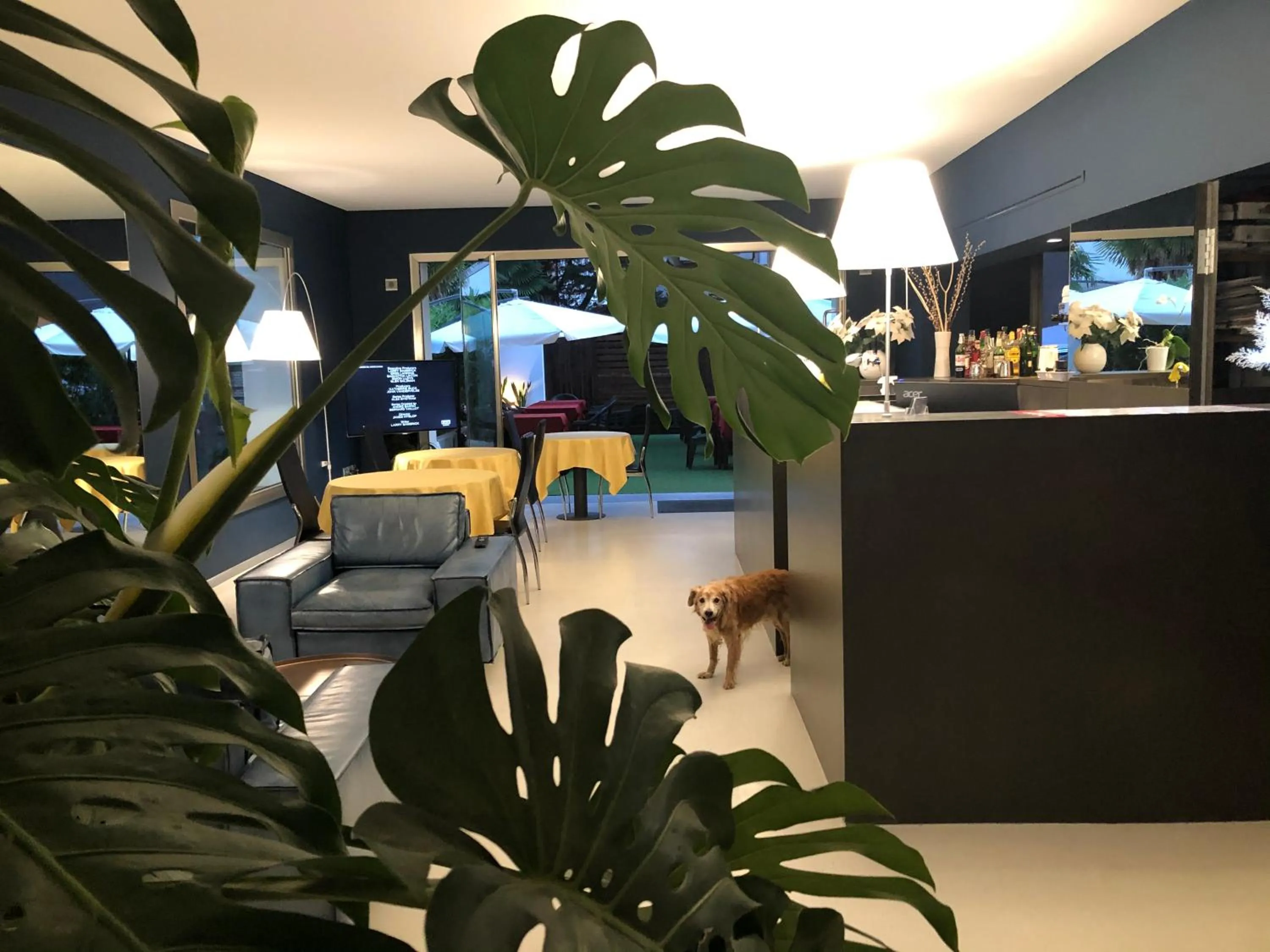 Lobby or reception in Villa Regina