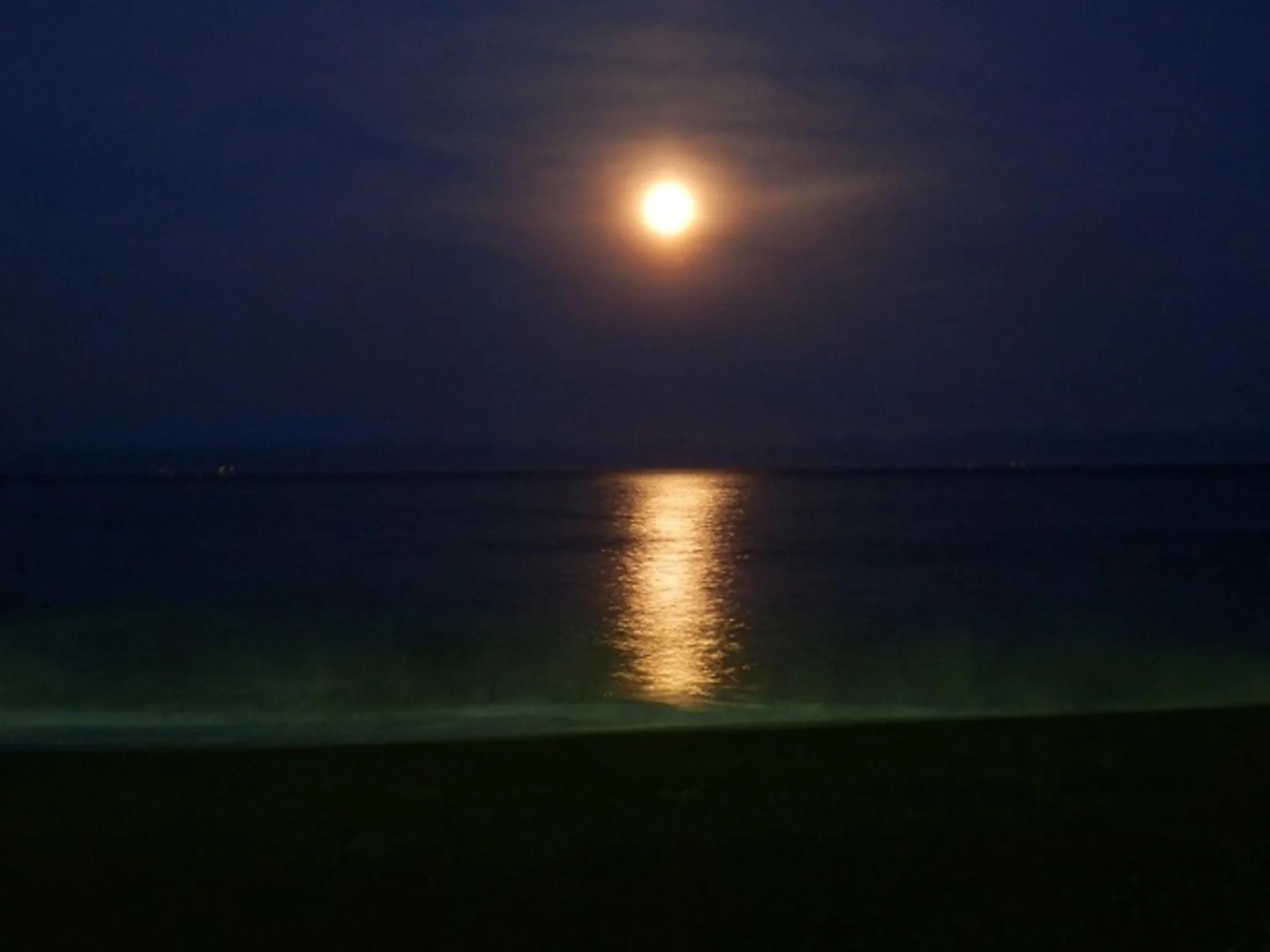 View (from property/room) in Hotel Cetus Royal