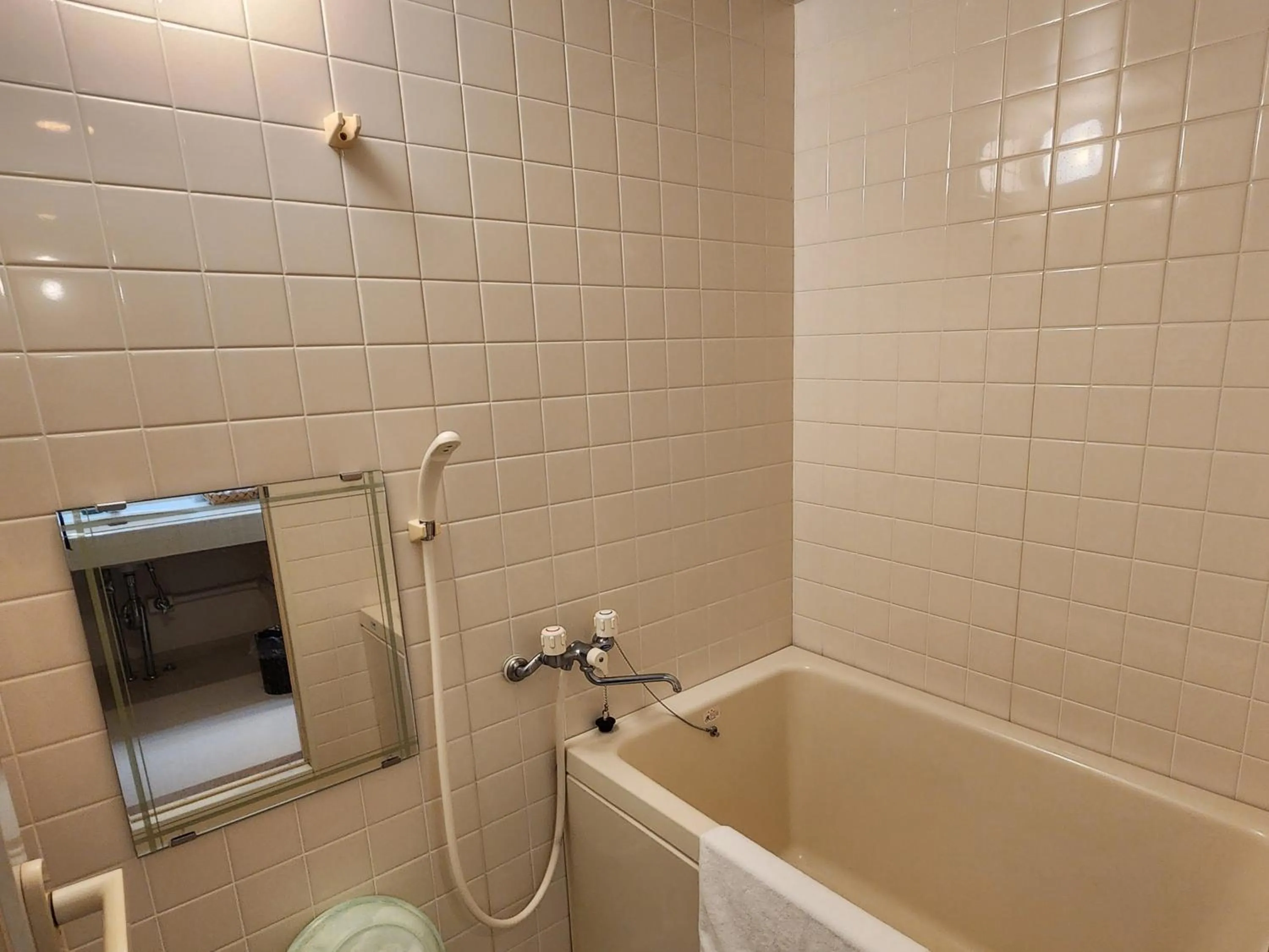 Bathroom in Hotel Cetus Royal