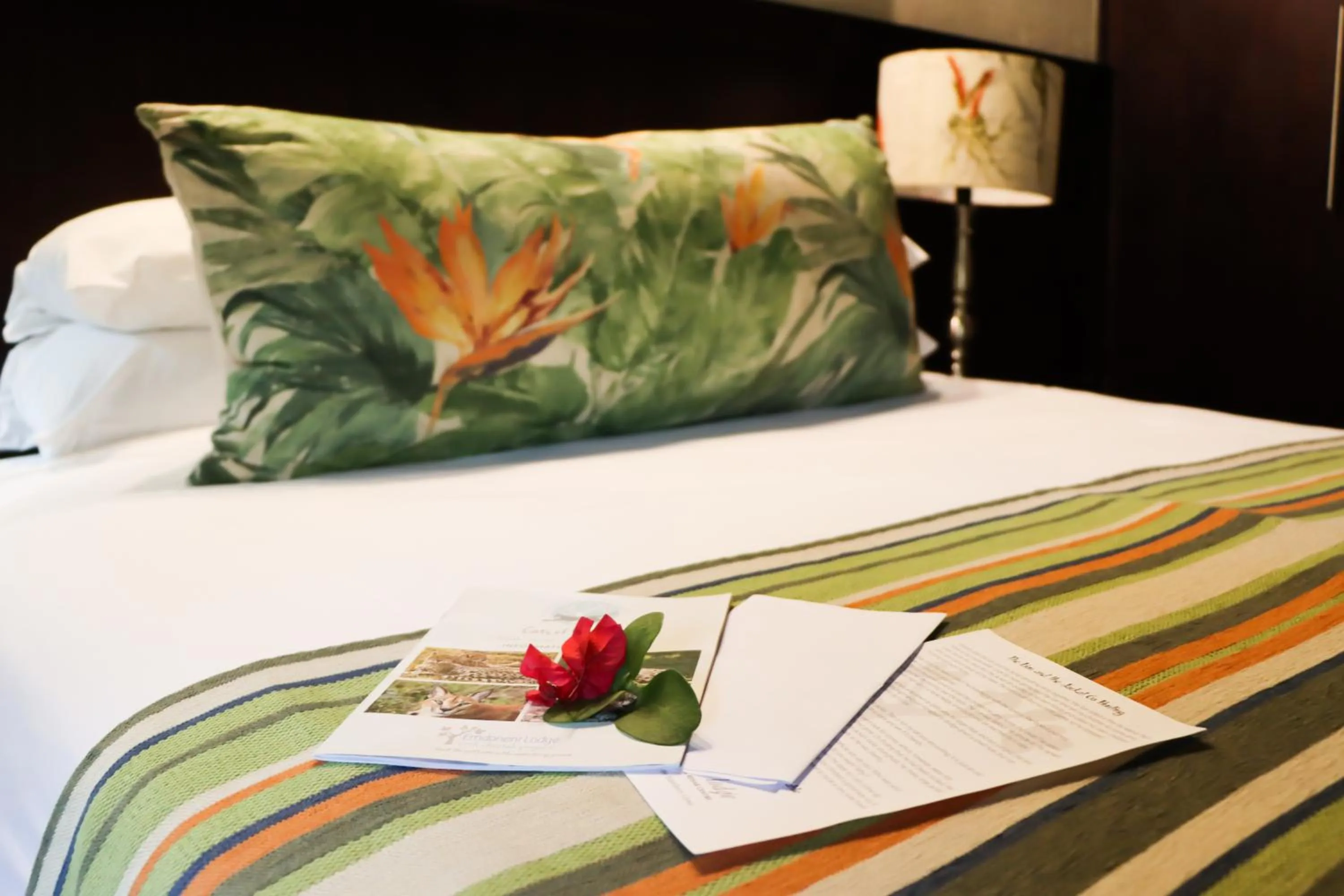 Bed in Emdoneni Lodge with Zululand Cat Conservation Project