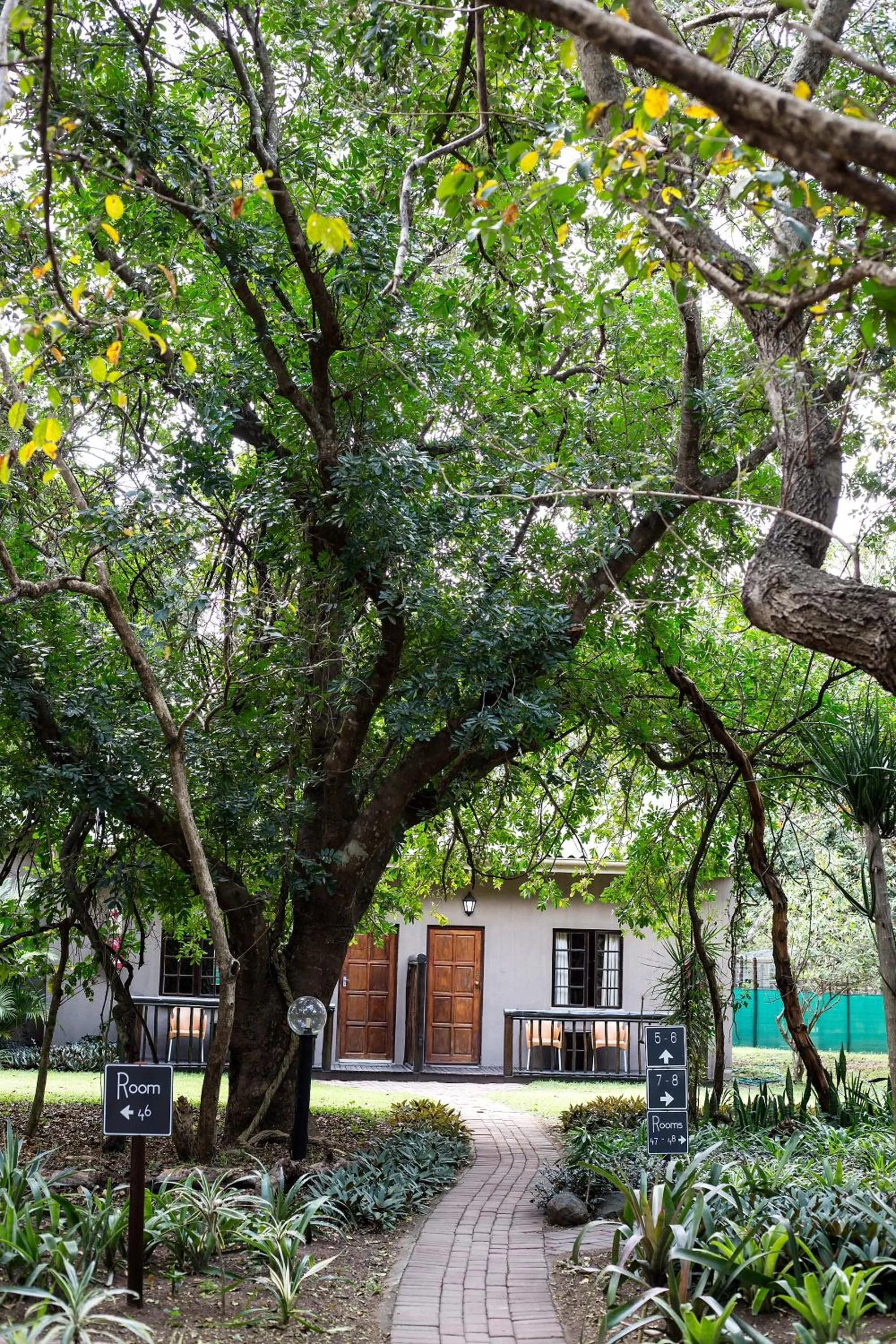 Property building in Emdoneni Lodge with Zululand Cat Conservation Project