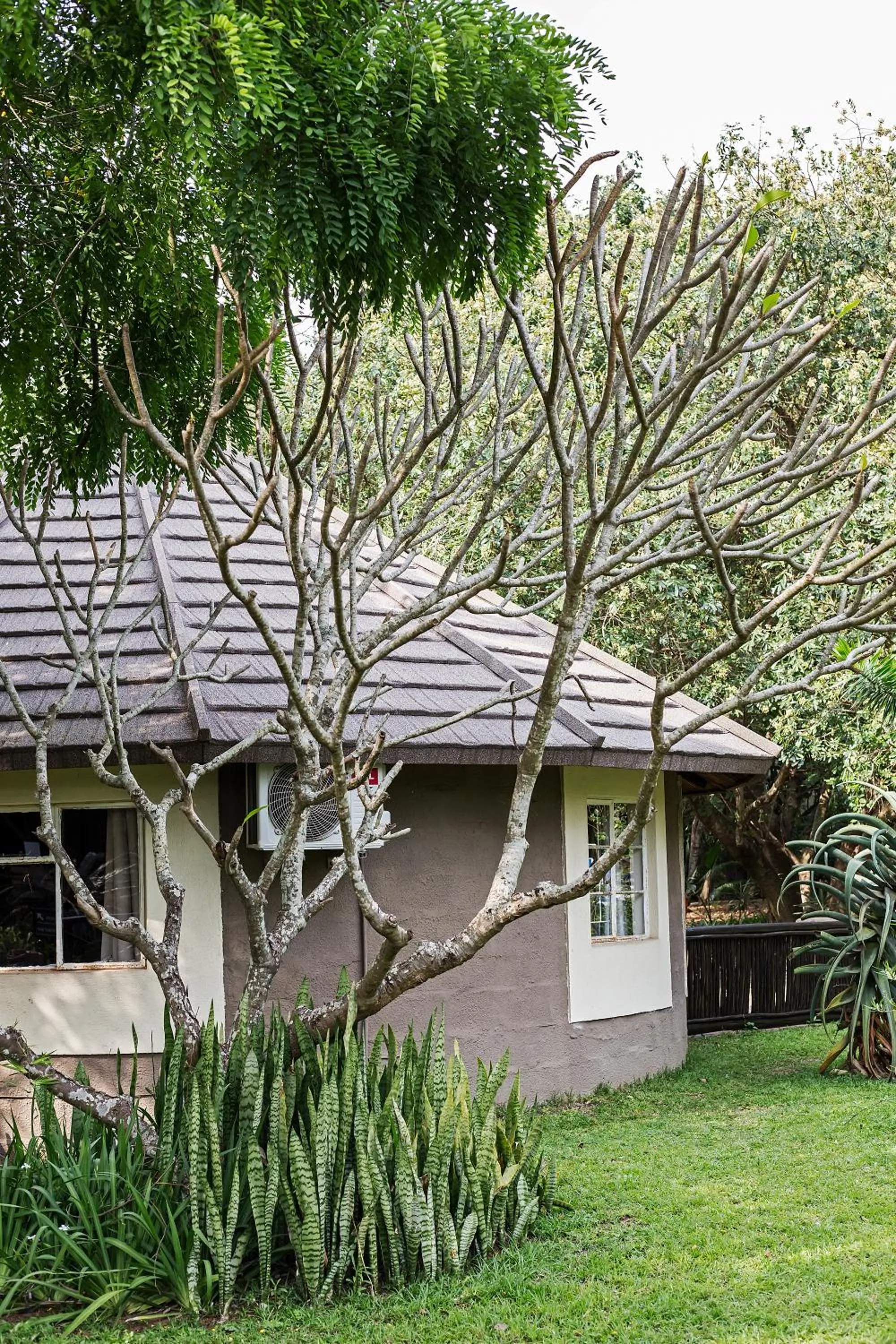 Property building in Emdoneni Lodge with Zululand Cat Conservation Project