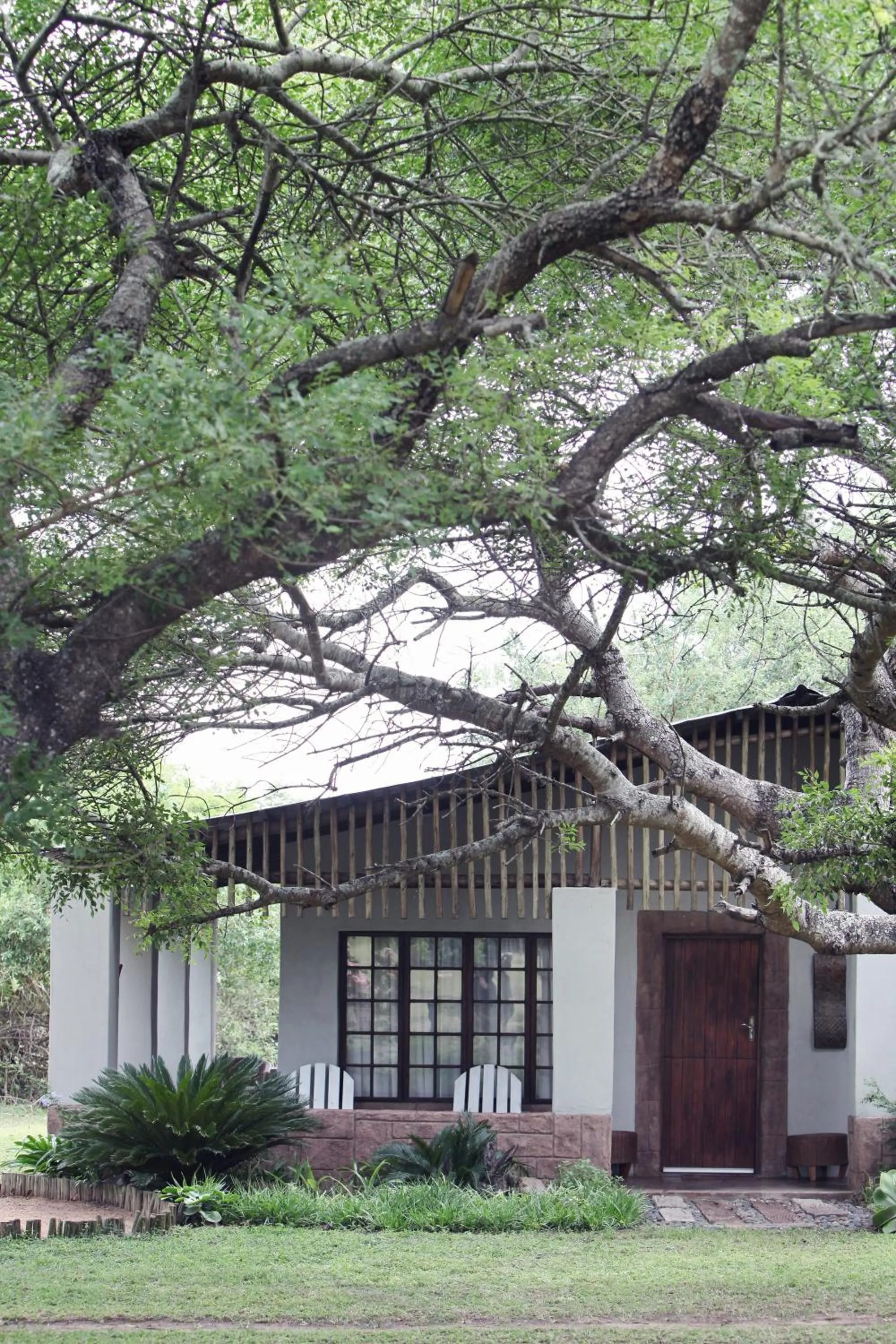Property building in Emdoneni Lodge with Zululand Cat Conservation Project
