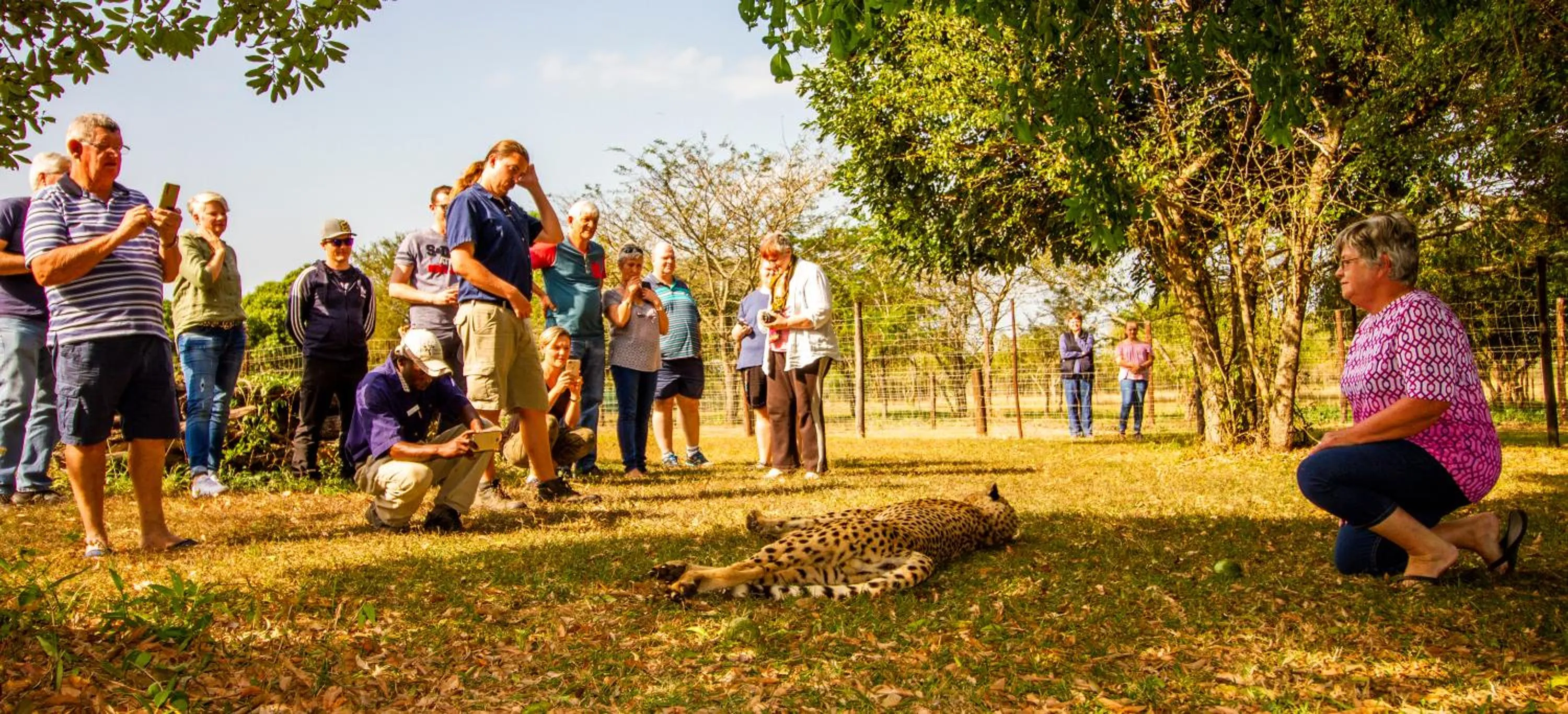 Day in Emdoneni Lodge with Zululand Cat Conservation Project