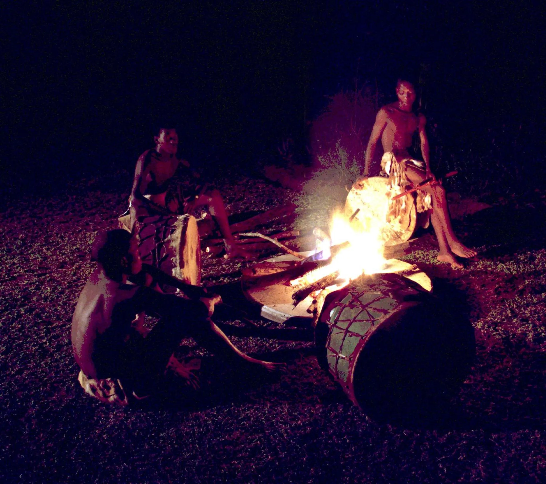 Activities in Emdoneni Lodge with Zululand Cat Conservation Project