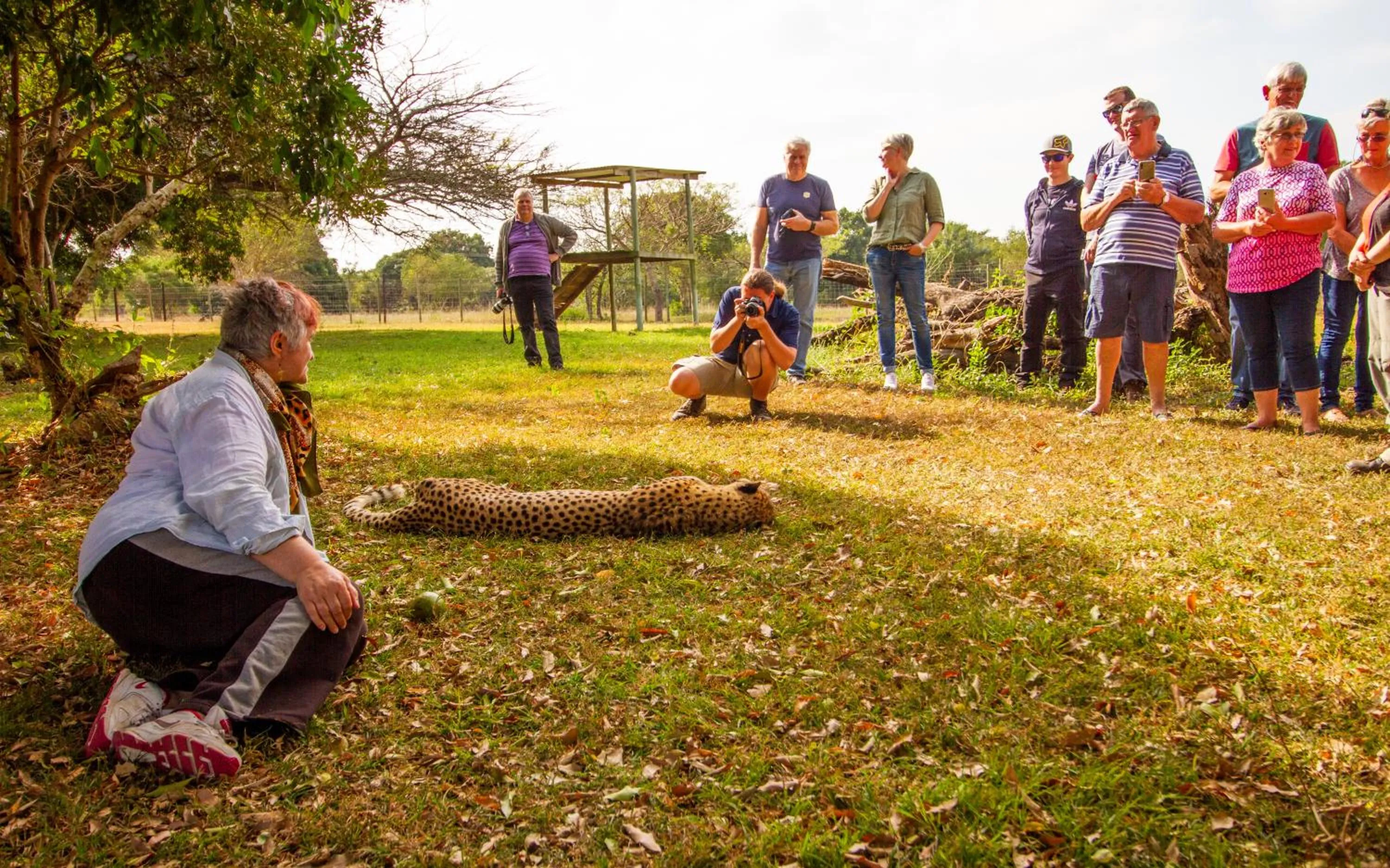 Day in Emdoneni Lodge with Zululand Cat Conservation Project