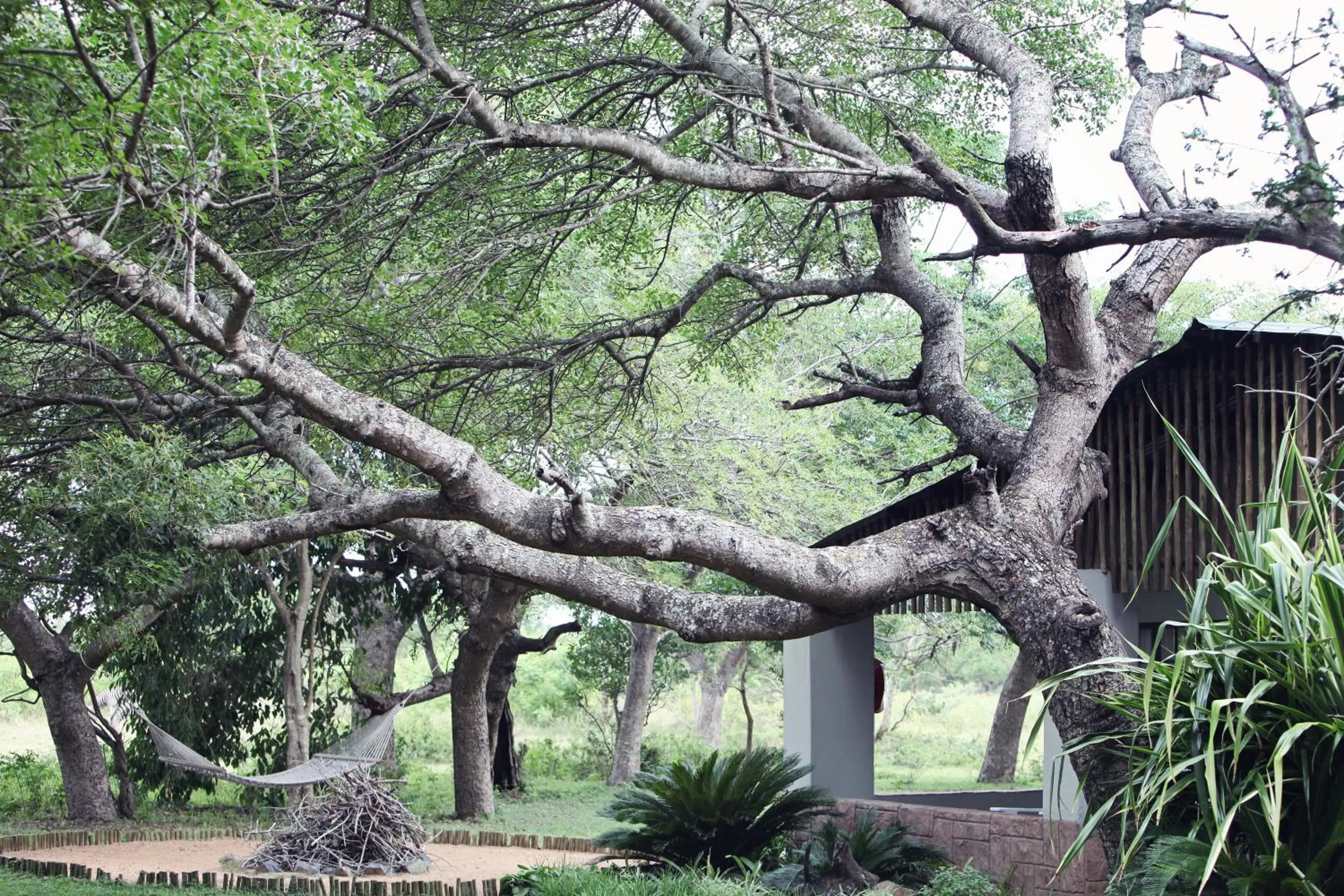 Property building in Emdoneni Lodge with Zululand Cat Conservation Project