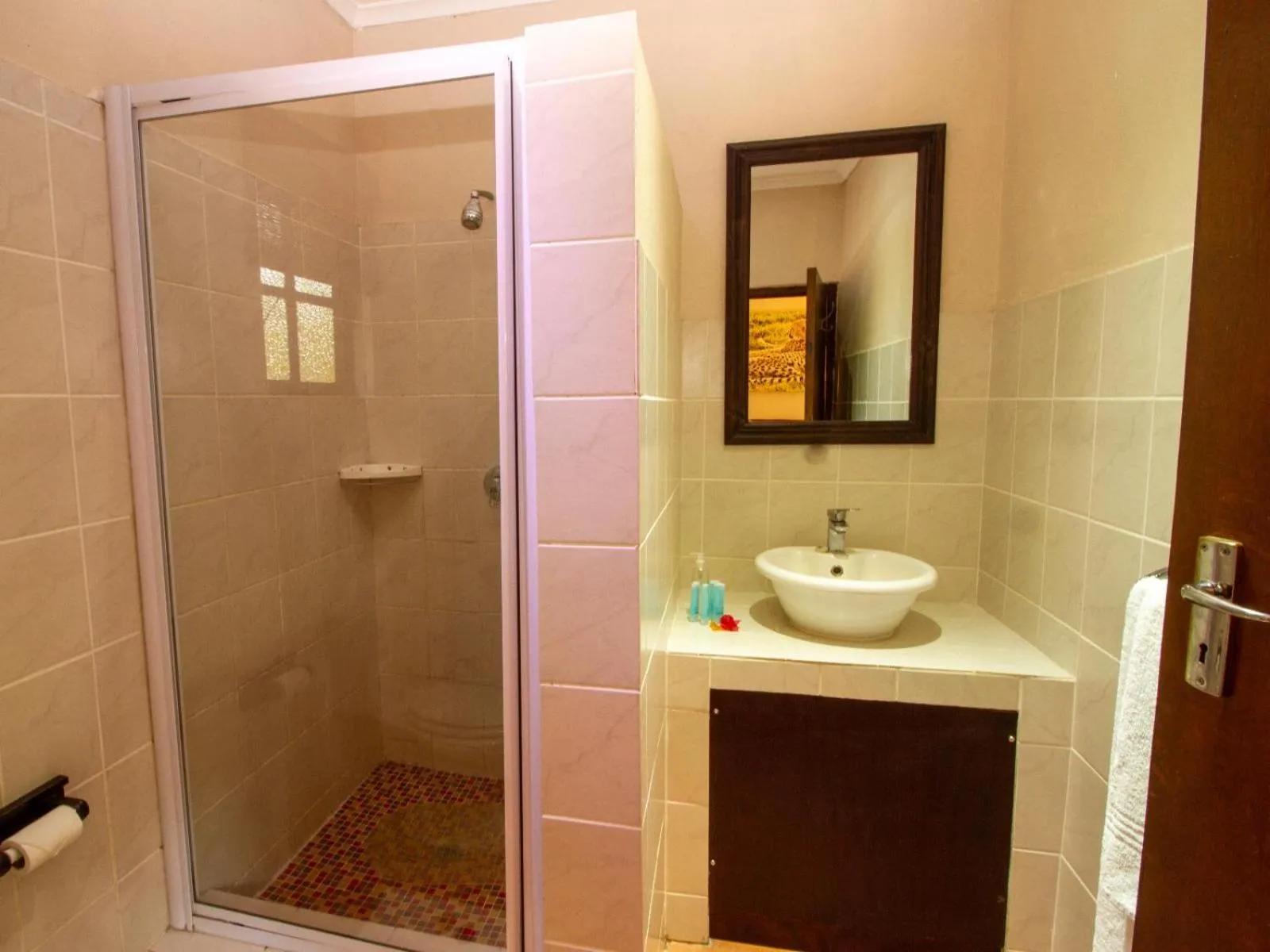 Bathroom in Emdoneni Lodge with Zululand Cat Conservation Project