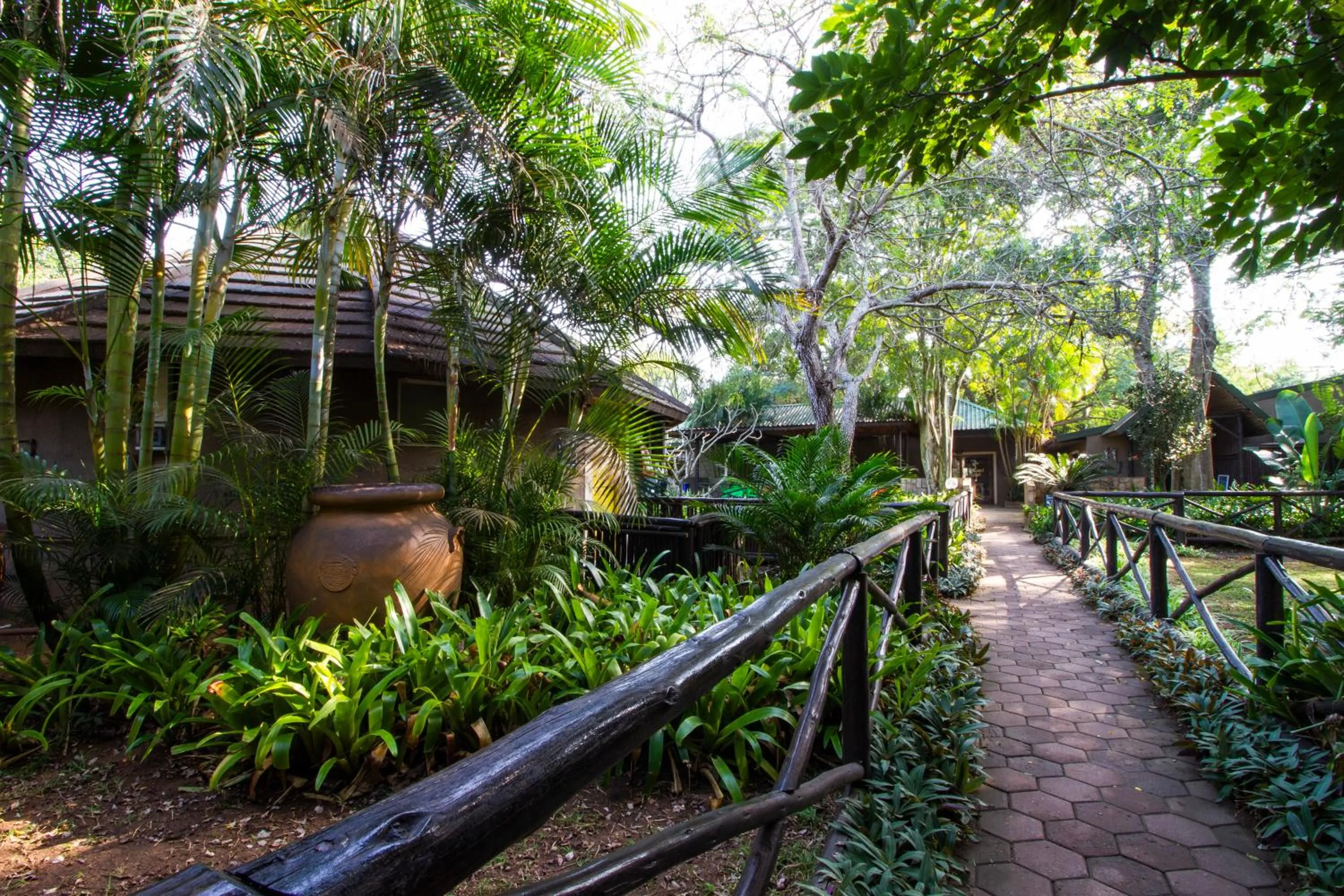 Garden in Emdoneni Lodge with Zululand Cat Conservation Project