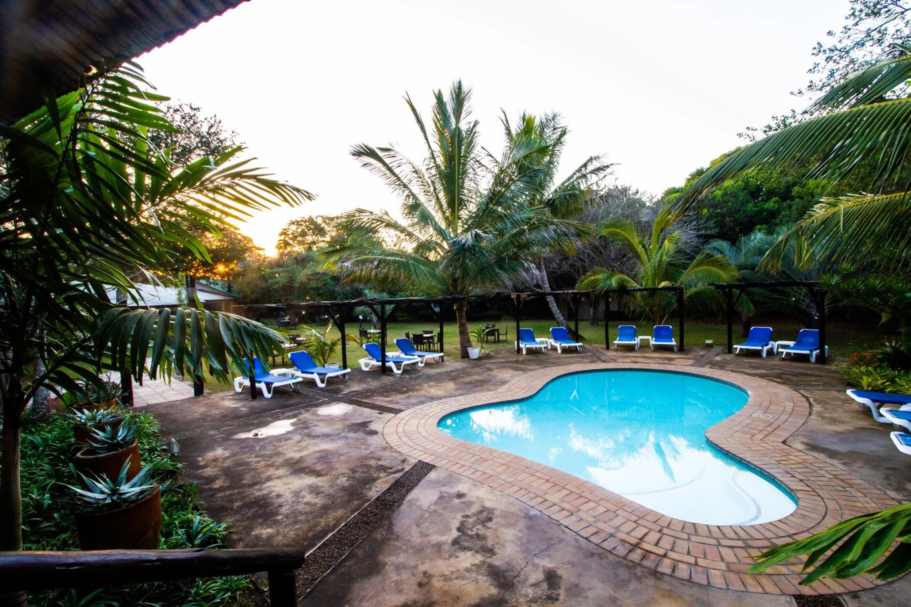 Swimming pool in Emdoneni Lodge with Zululand Cat Conservation Project