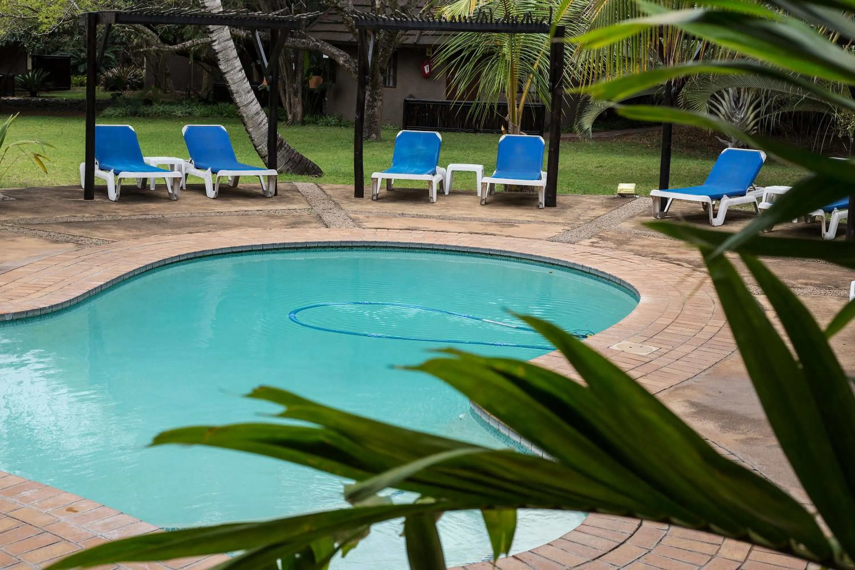  in Emdoneni Lodge with Zululand Cat Conservation Project