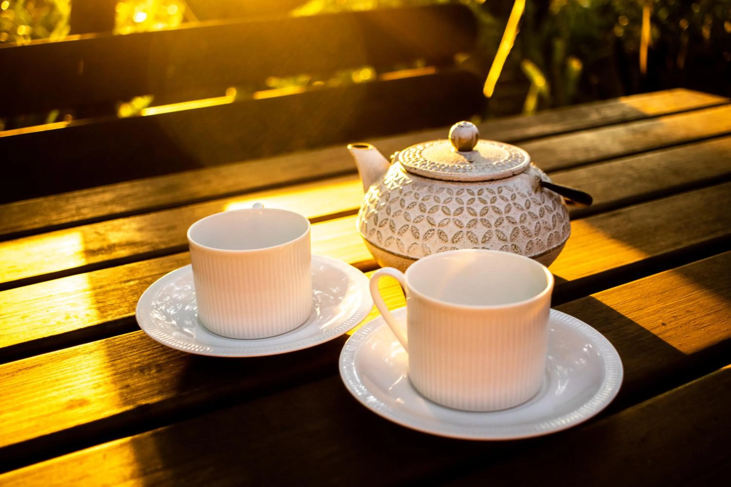 Property building in Emdoneni Lodge with Zululand Cat Conservation Project