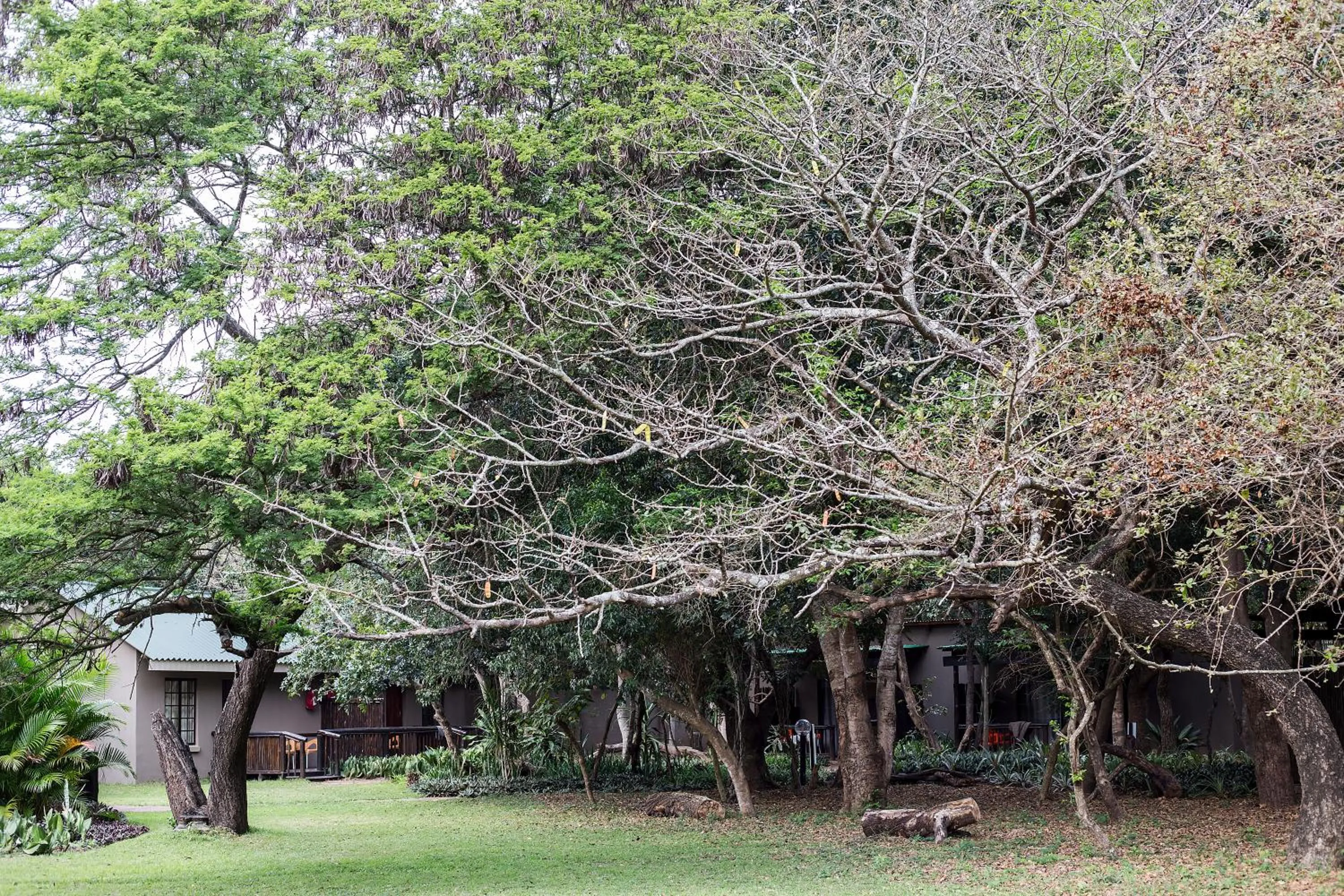 Garden in Emdoneni Lodge with Zululand Cat Conservation Project
