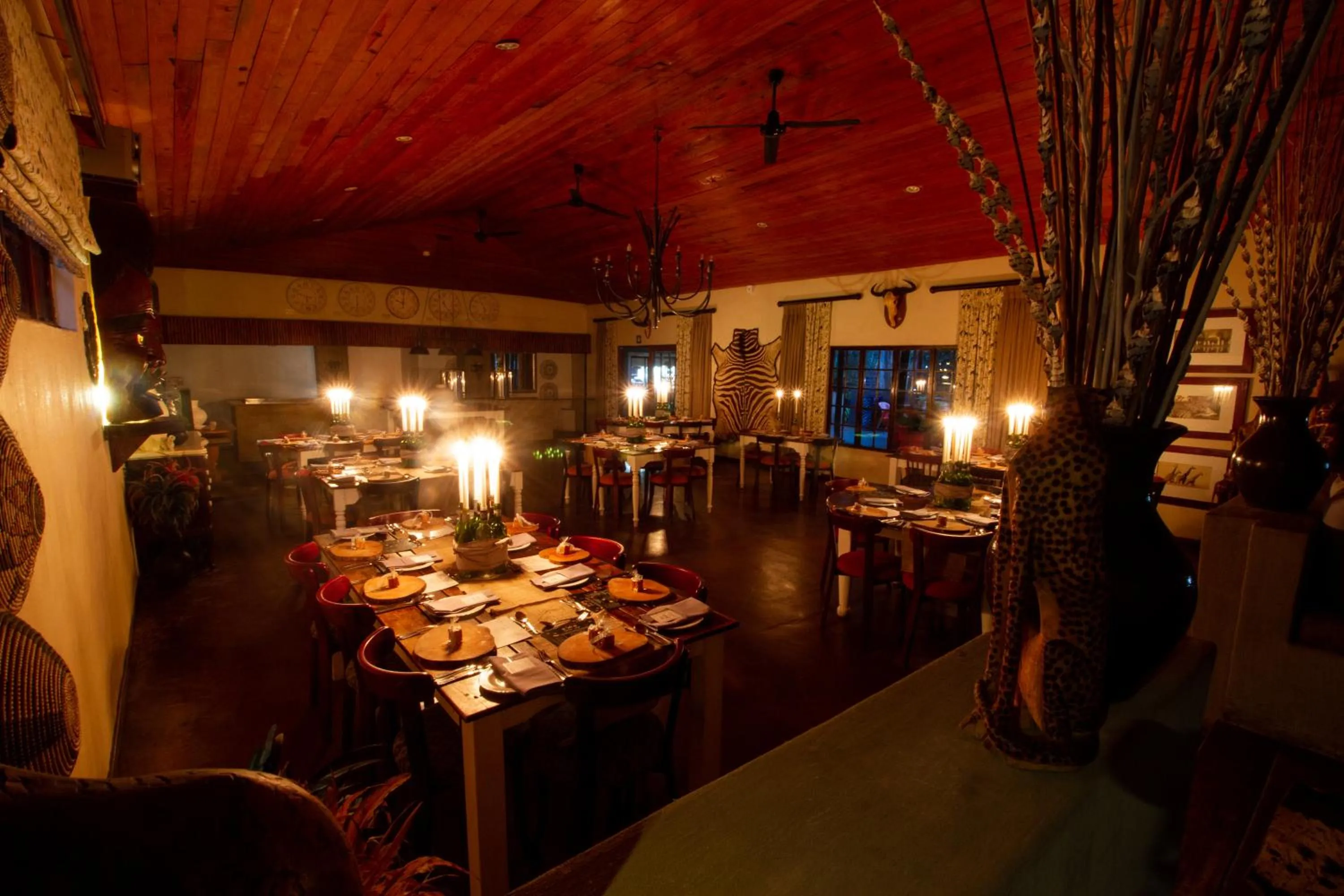 Restaurant/places to eat in Emdoneni Lodge with Zululand Cat Conservation Project
