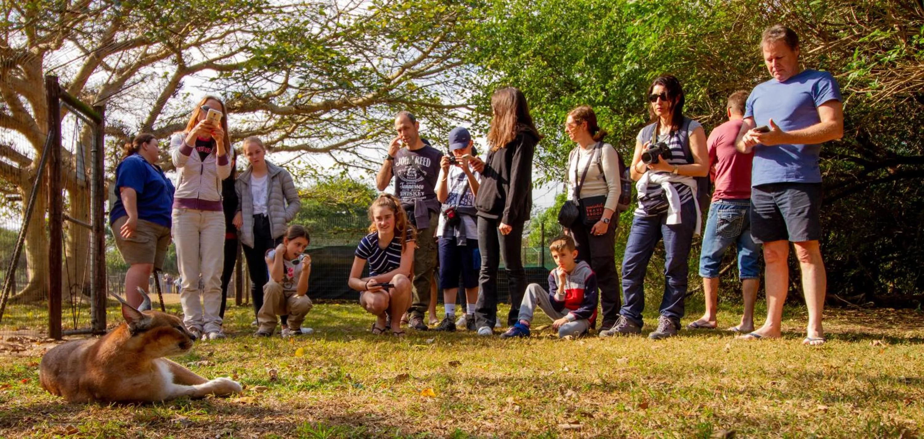 Spring in Emdoneni Lodge with Zululand Cat Conservation Project