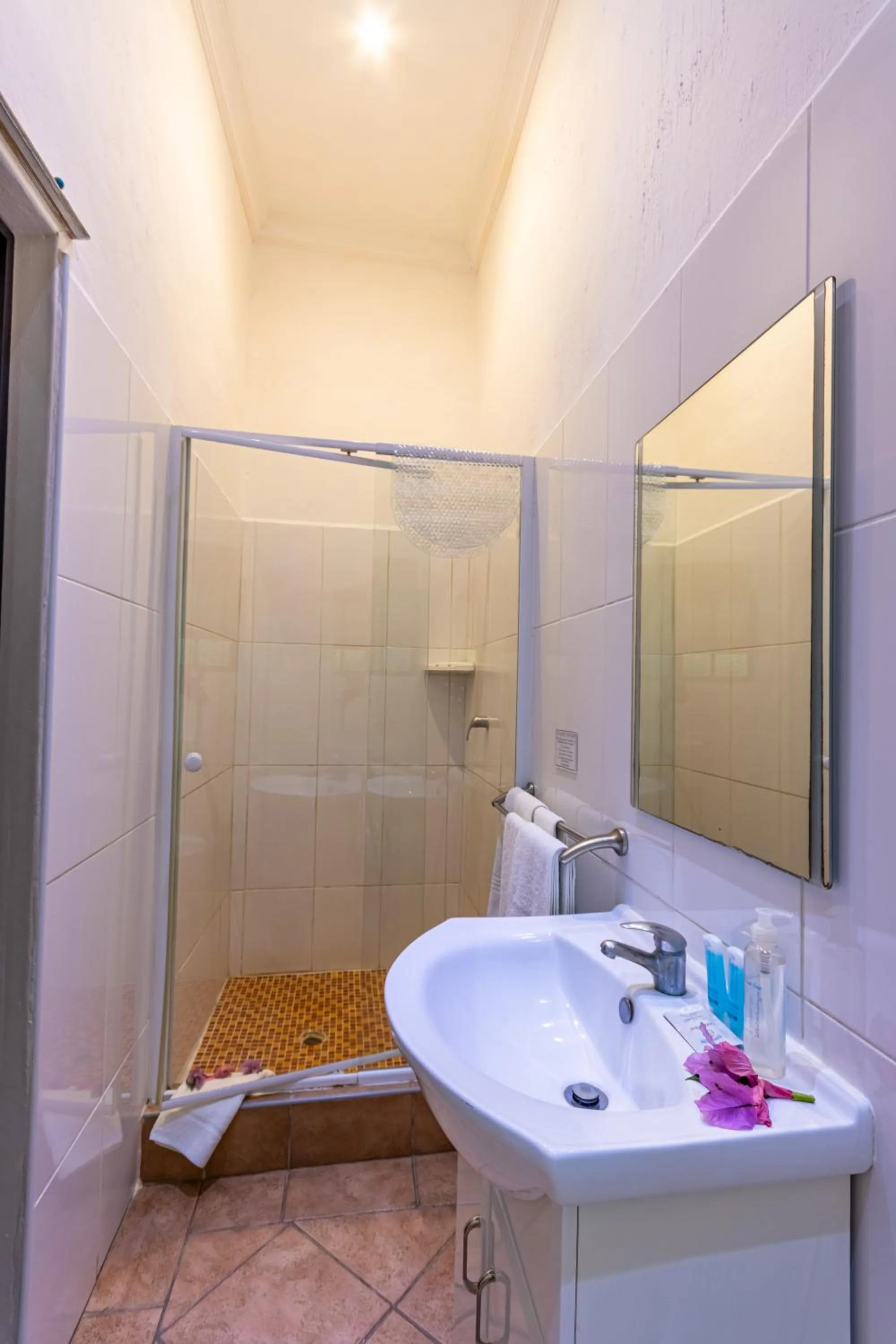 Shower in Emdoneni Lodge with Zululand Cat Conservation Project