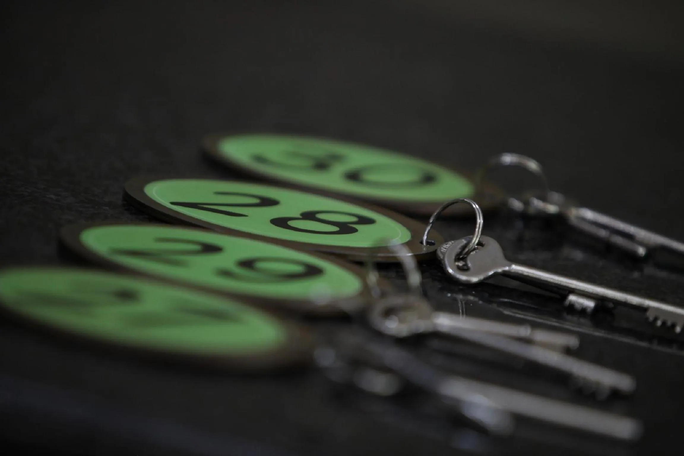 Decorative detail in Emdoneni Lodge with Zululand Cat Conservation Project