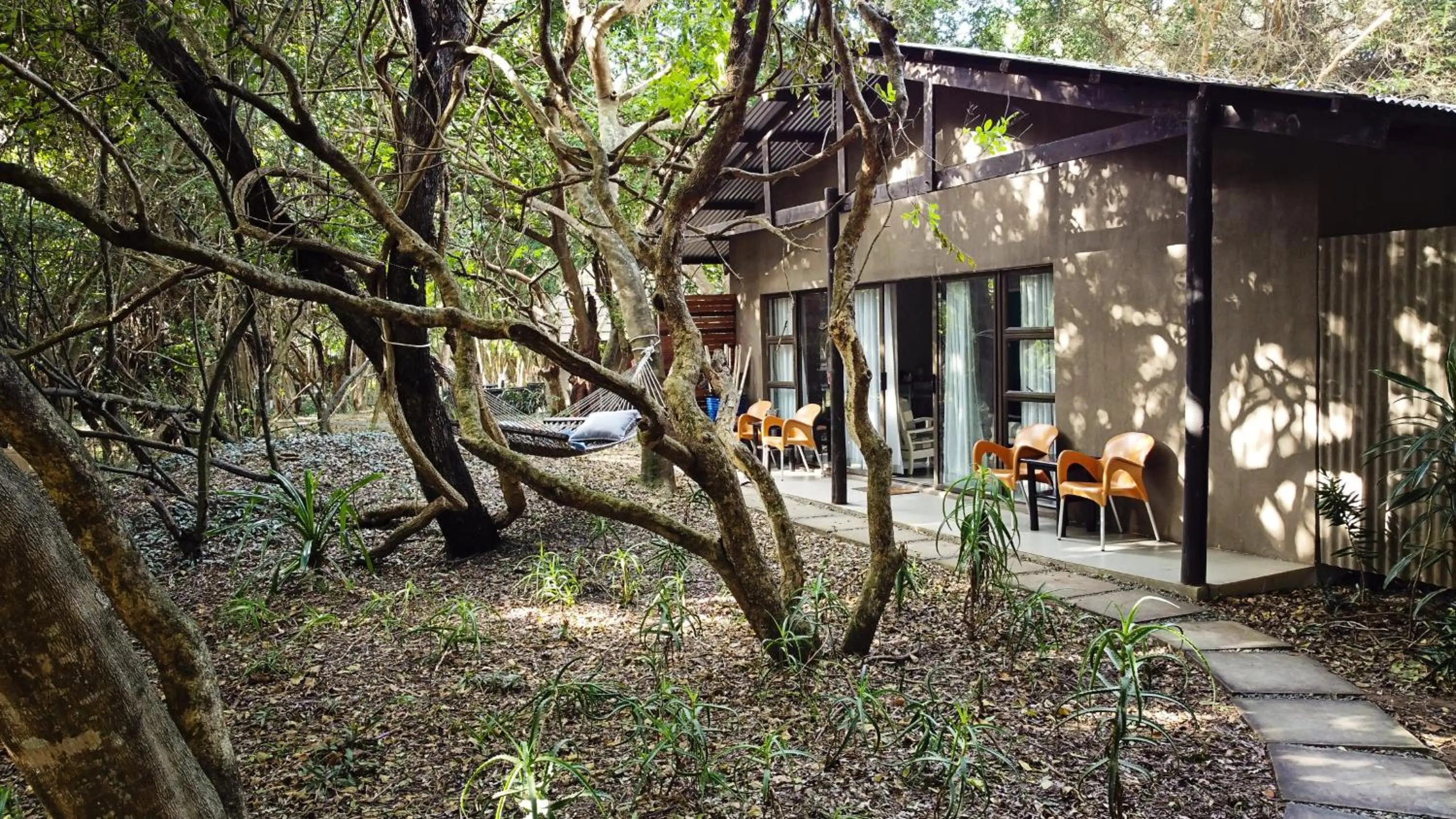 Property building in Emdoneni Lodge with Zululand Cat Conservation Project