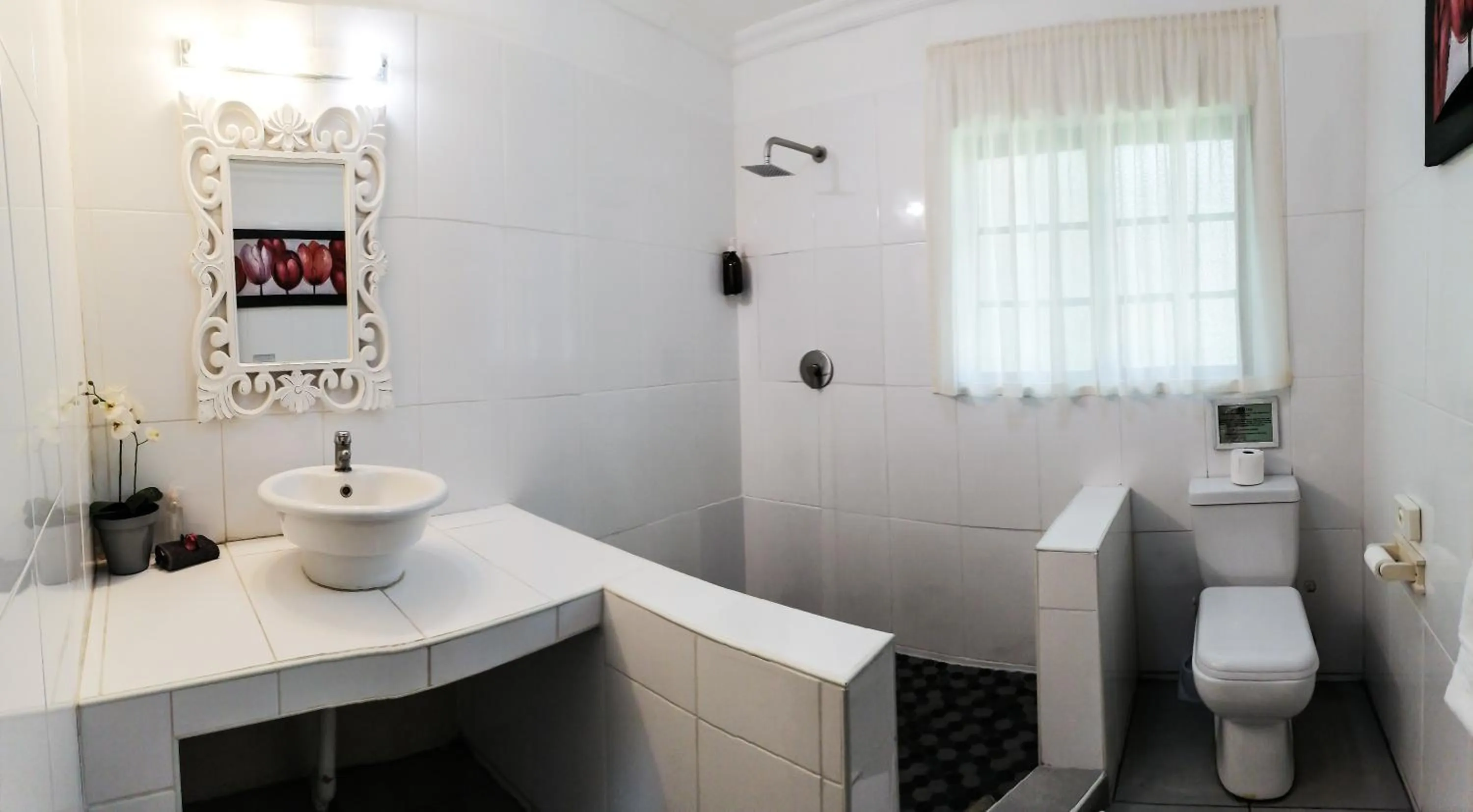 Toilet in Emdoneni Lodge with Zululand Cat Conservation Project