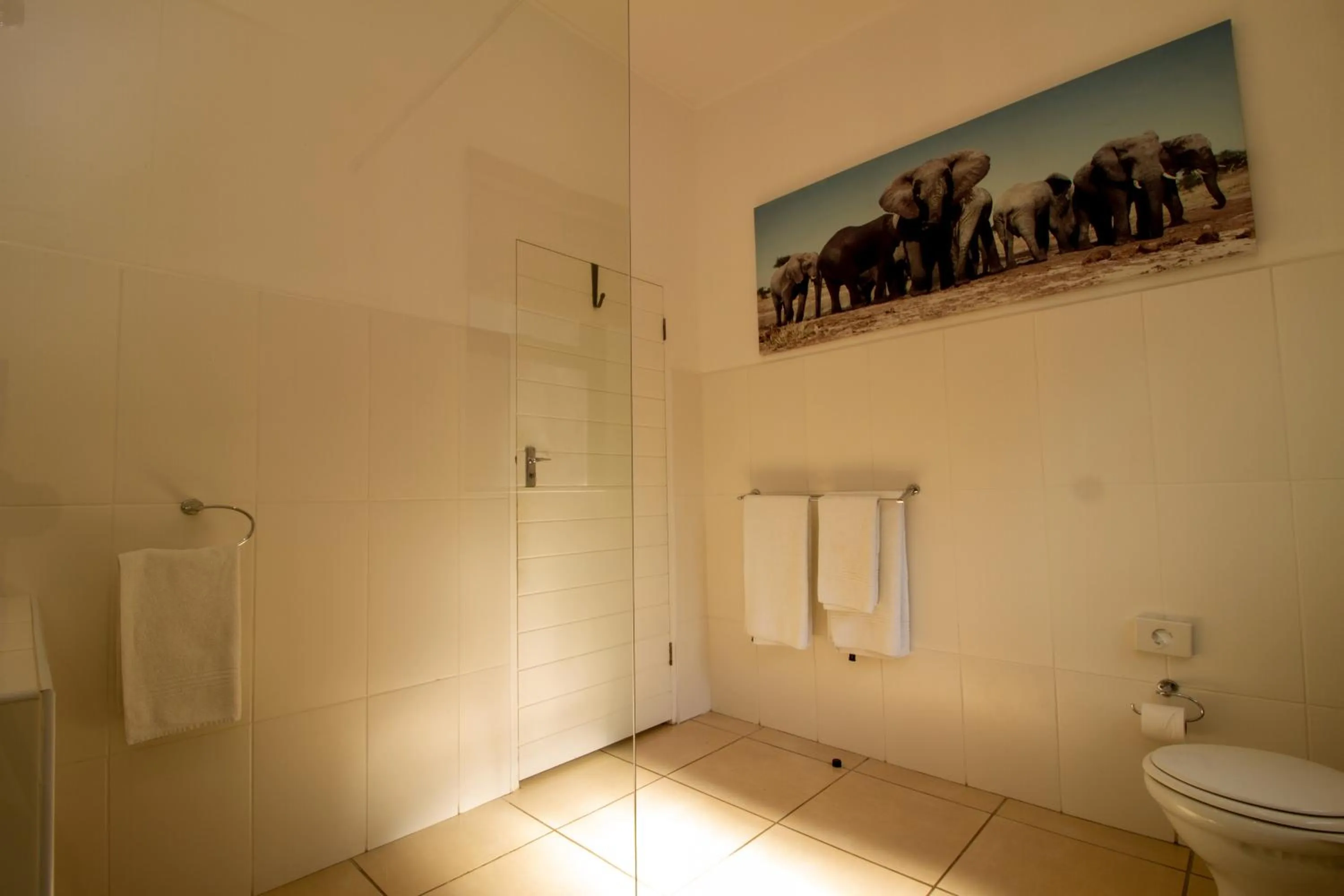 Shower in Emdoneni Lodge with Zululand Cat Conservation Project