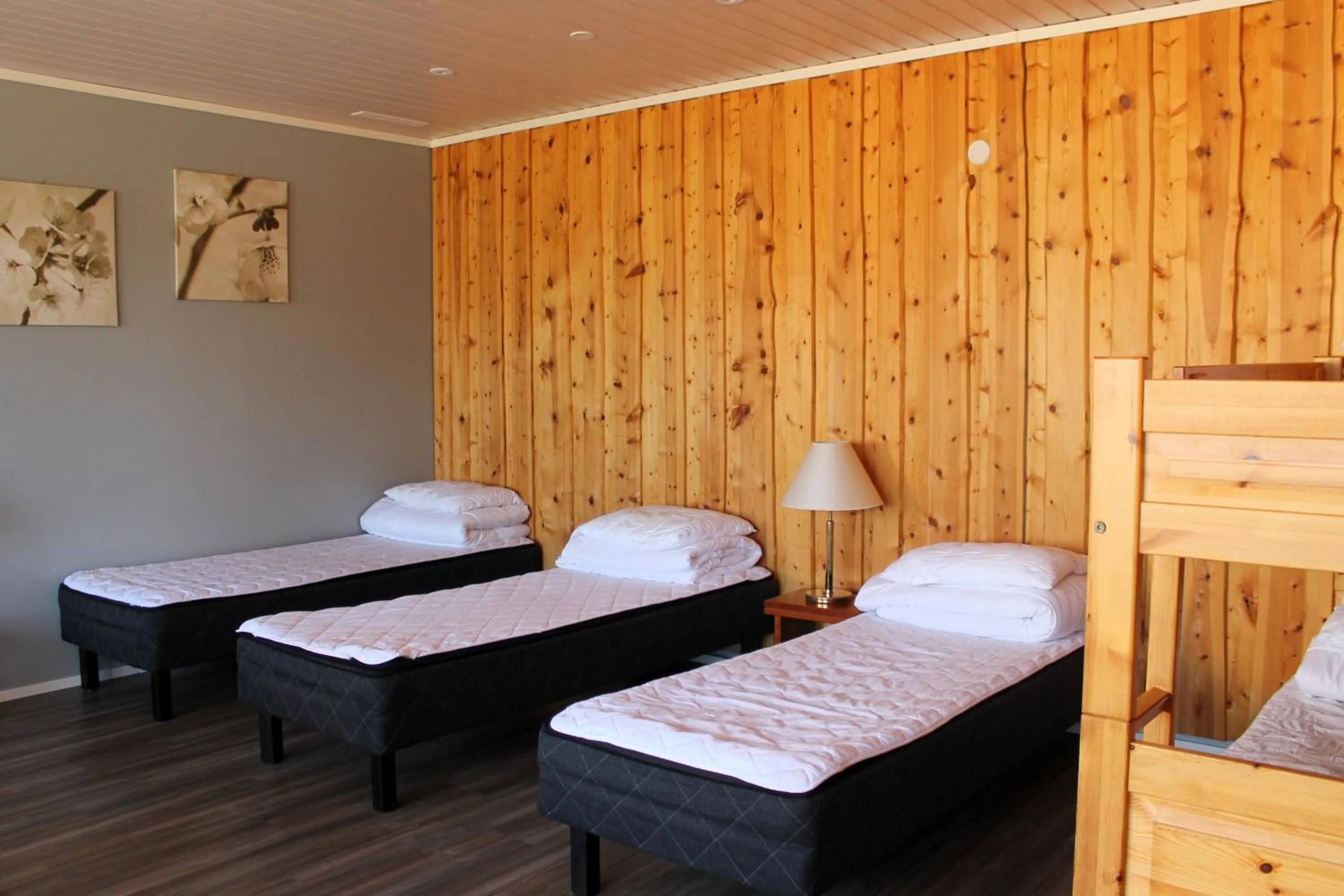 Photo of the whole room, Bed in Ivalo River Camping