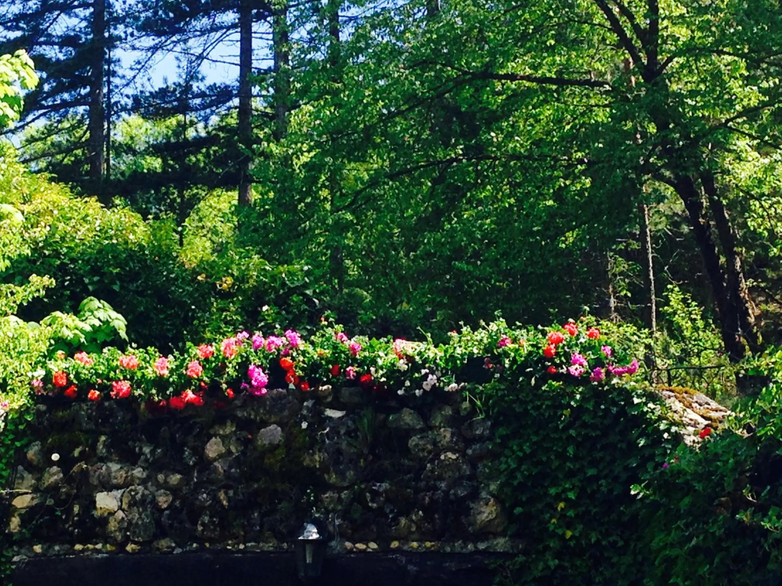 Summer, Garden in Le Rocce di Scanno B&B di Charme