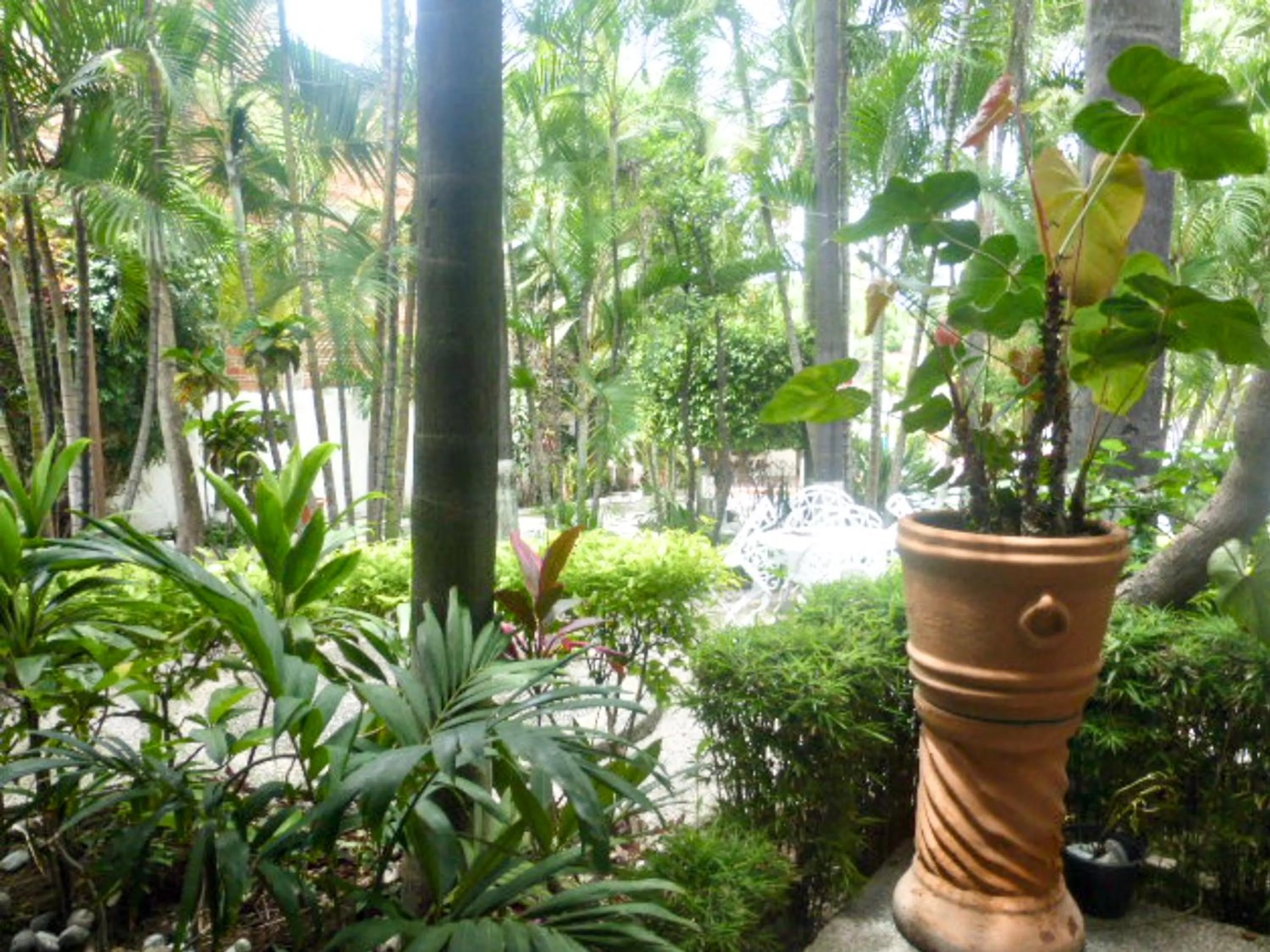 Hotel Bajo el Volcan