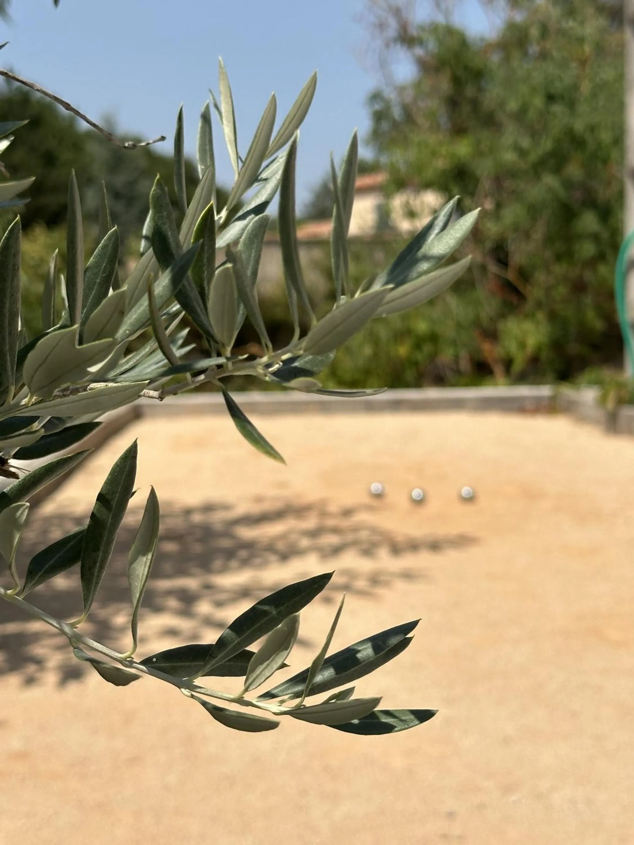 Children play ground in Le Moulin de Sonnailles