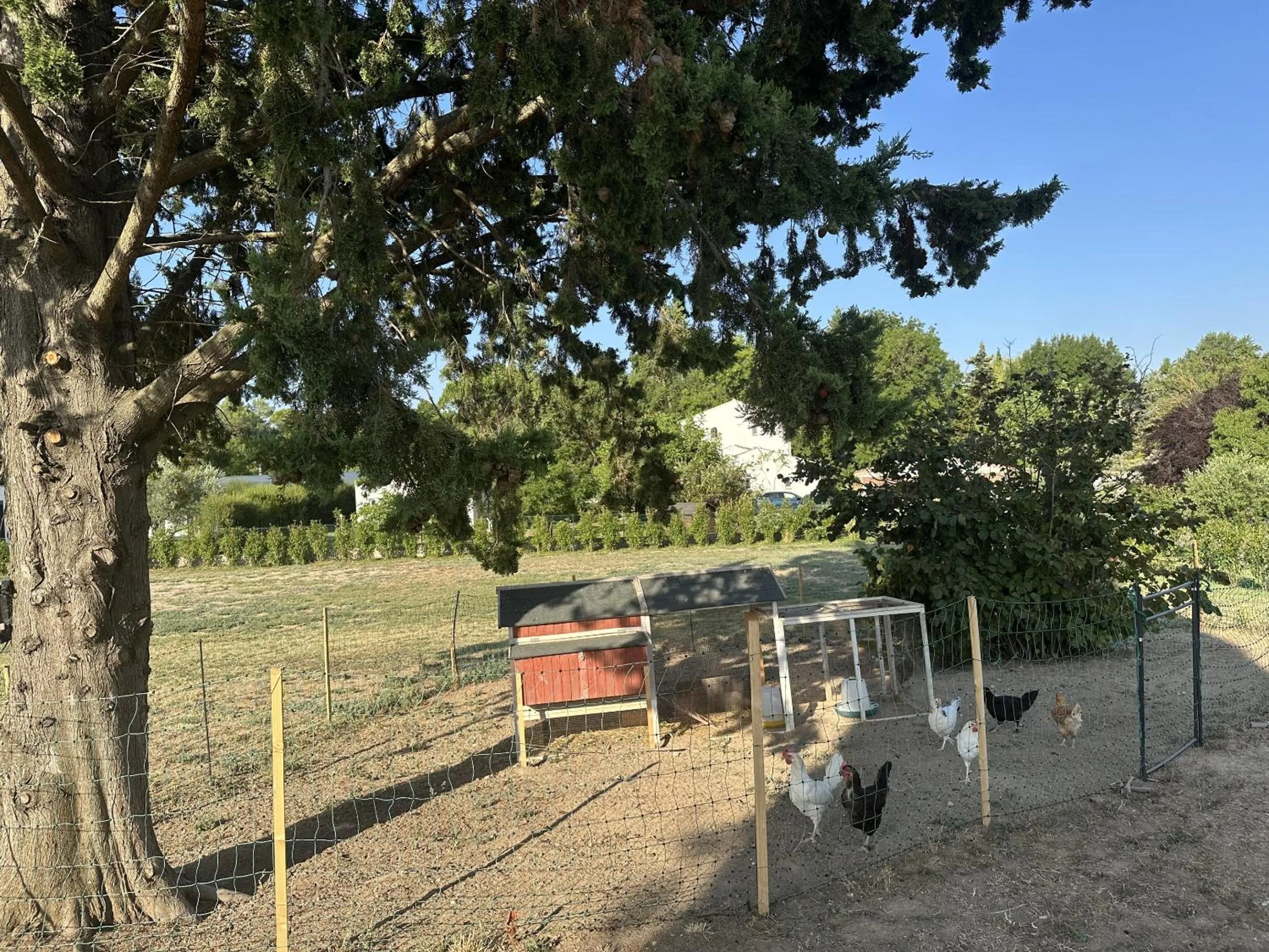 Natural landscape in Le Moulin de Sonnailles