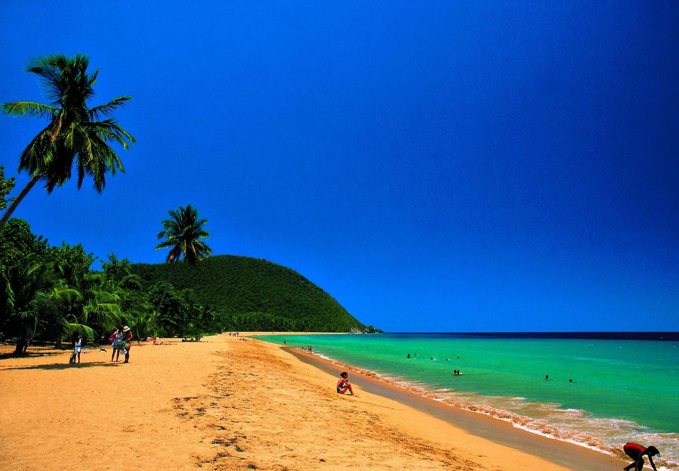 View (from property/room) in Habitation Grande Anse Résidence hôtelière