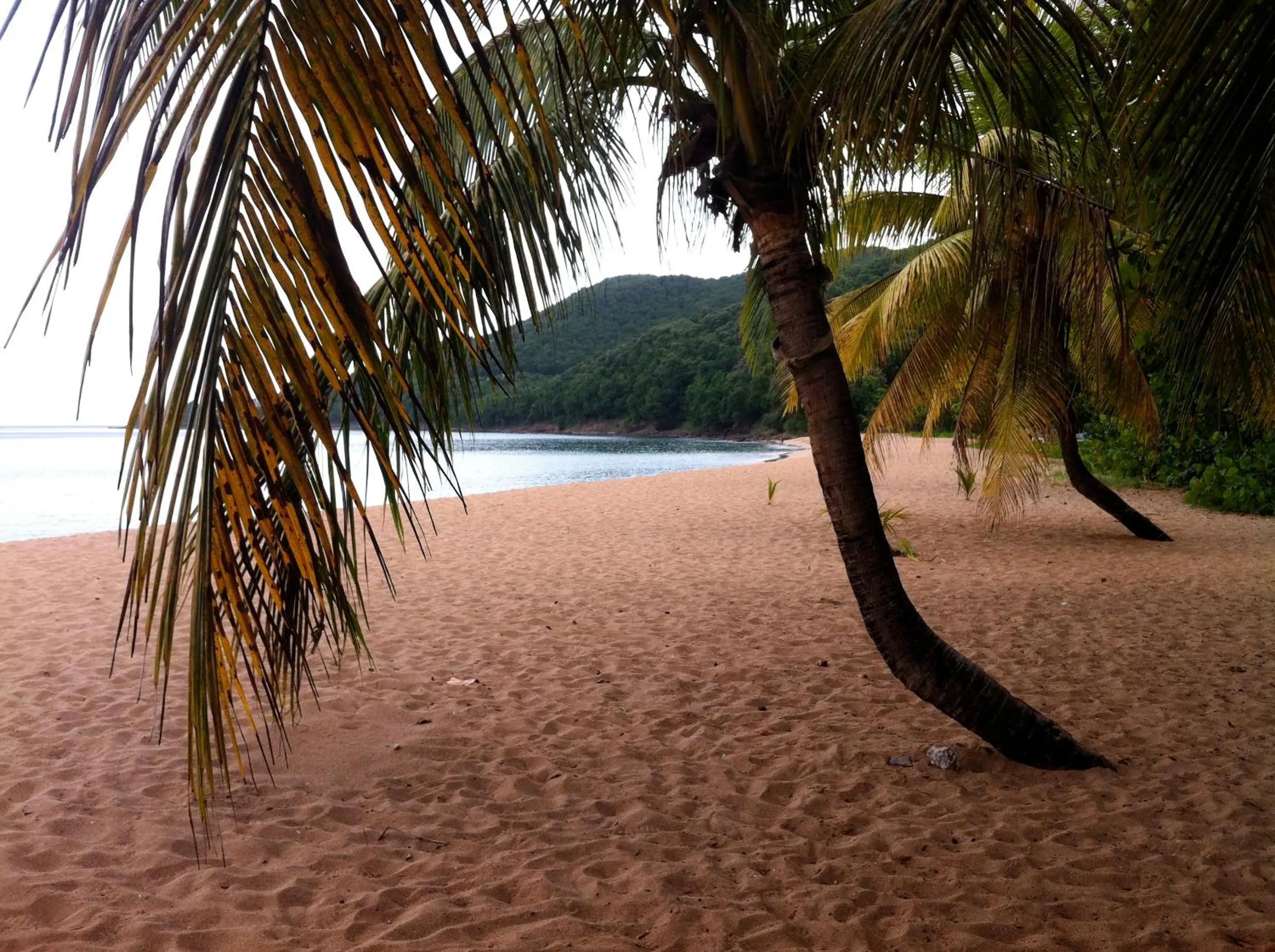 View (from property/room) in Habitation Grande Anse Résidence hôtelière