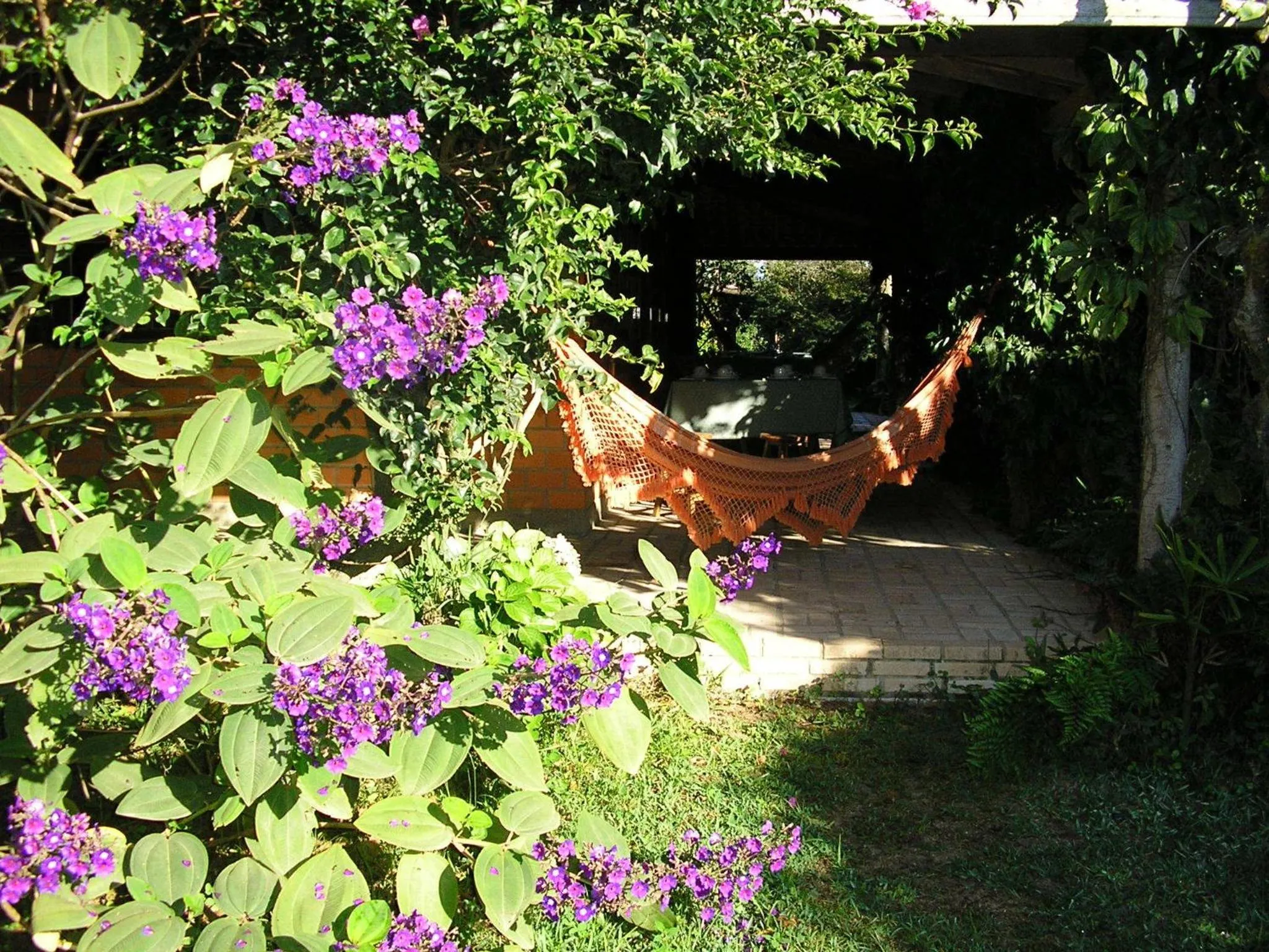 Garden in Pousada Rosa & Canela