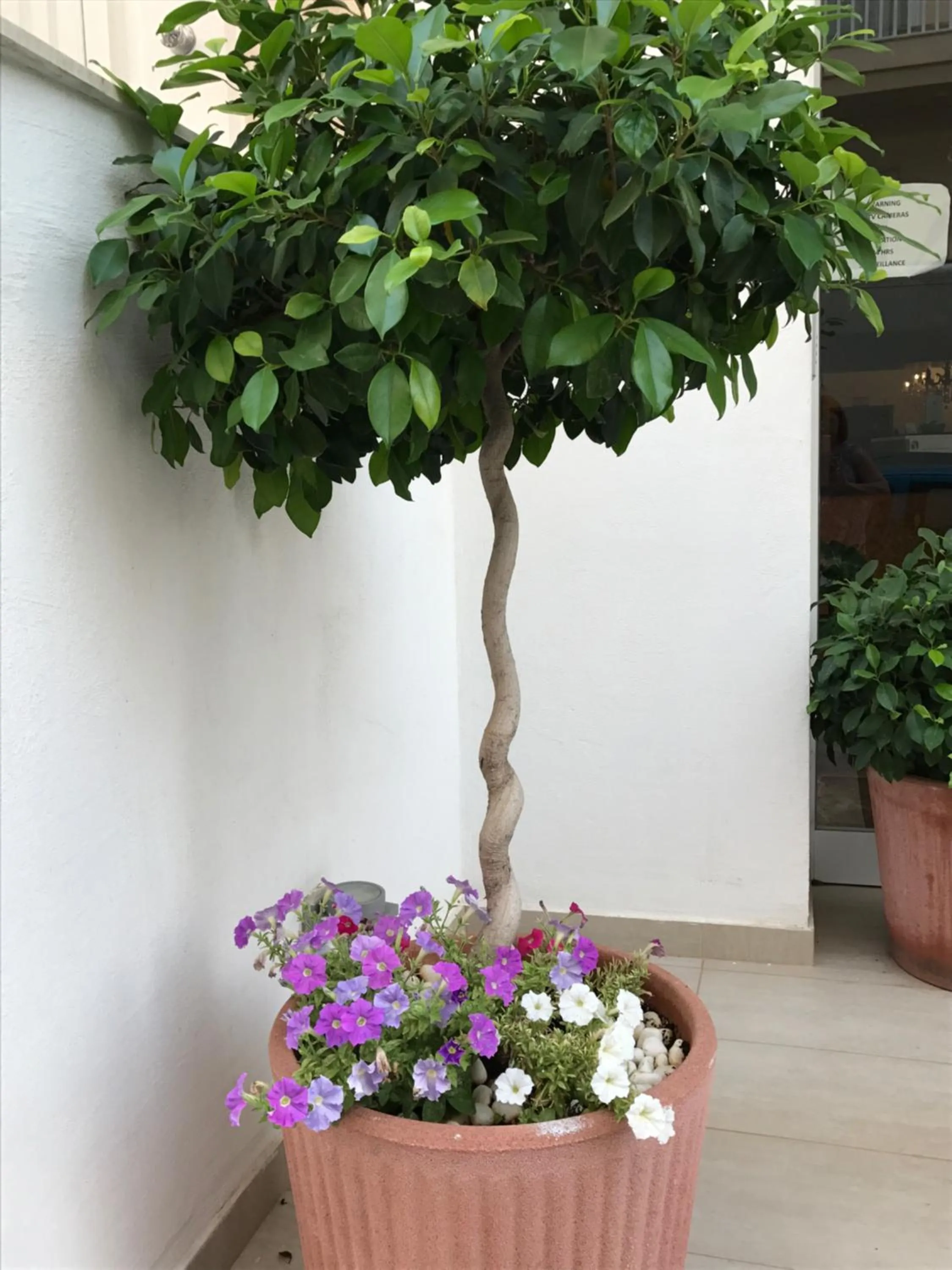 Facade/entrance in Slimiza Suites