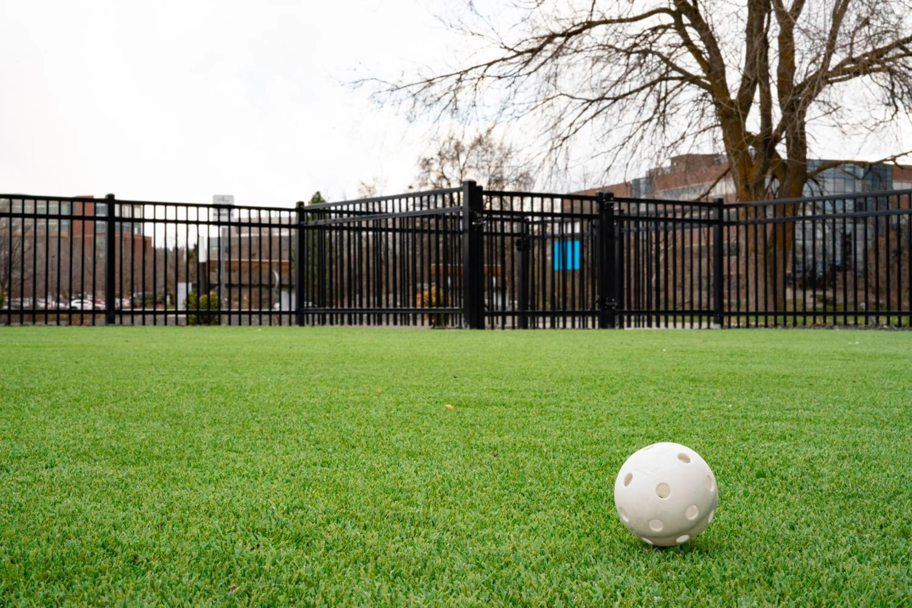 Pets in Ruby River Hotel