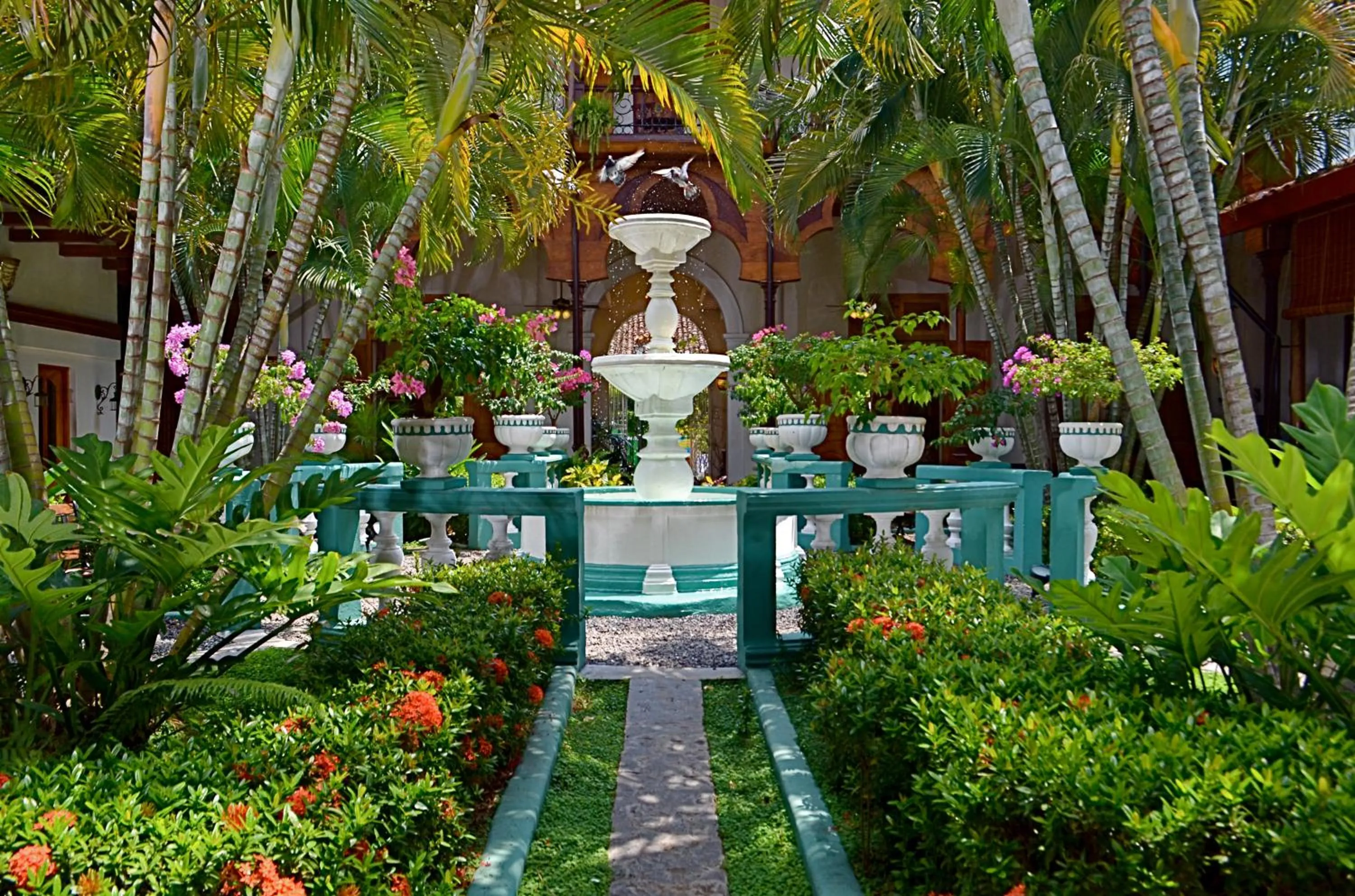 Garden in Hotel Dario Granada