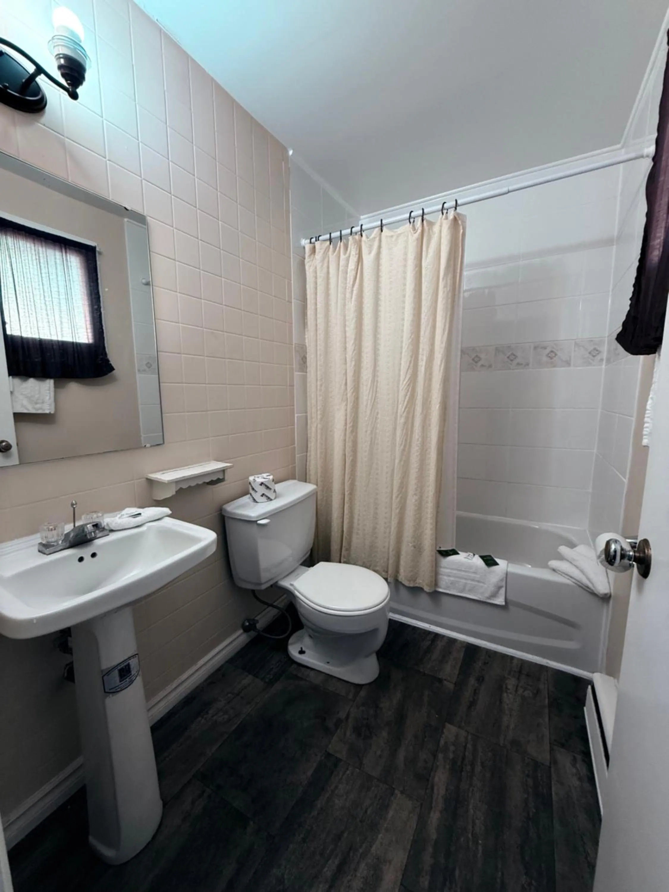 Shower in Guest Inn Motel