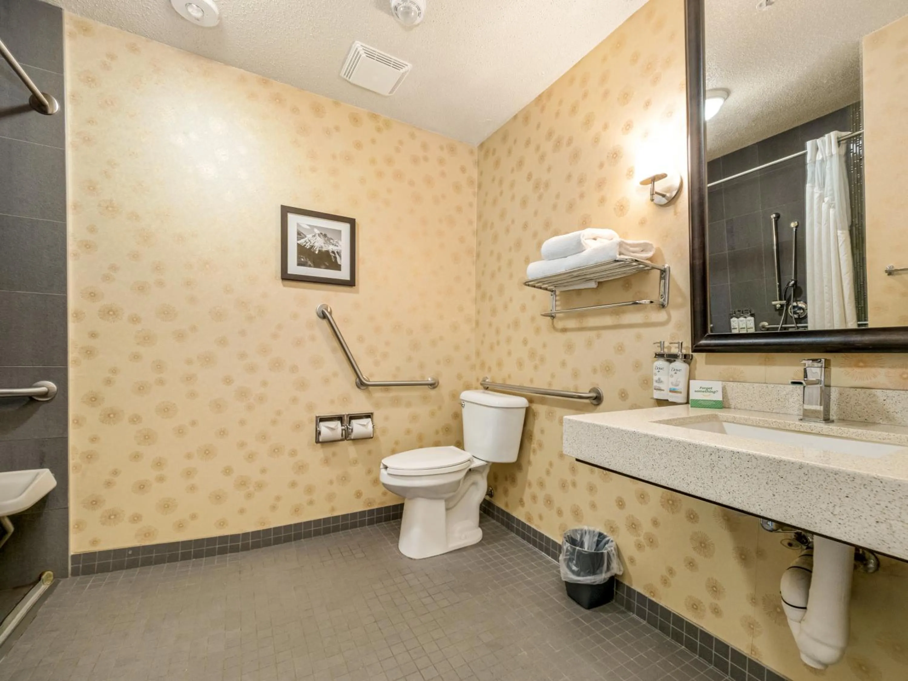 Bathroom in Holiday Inn Lethbridge by IHG