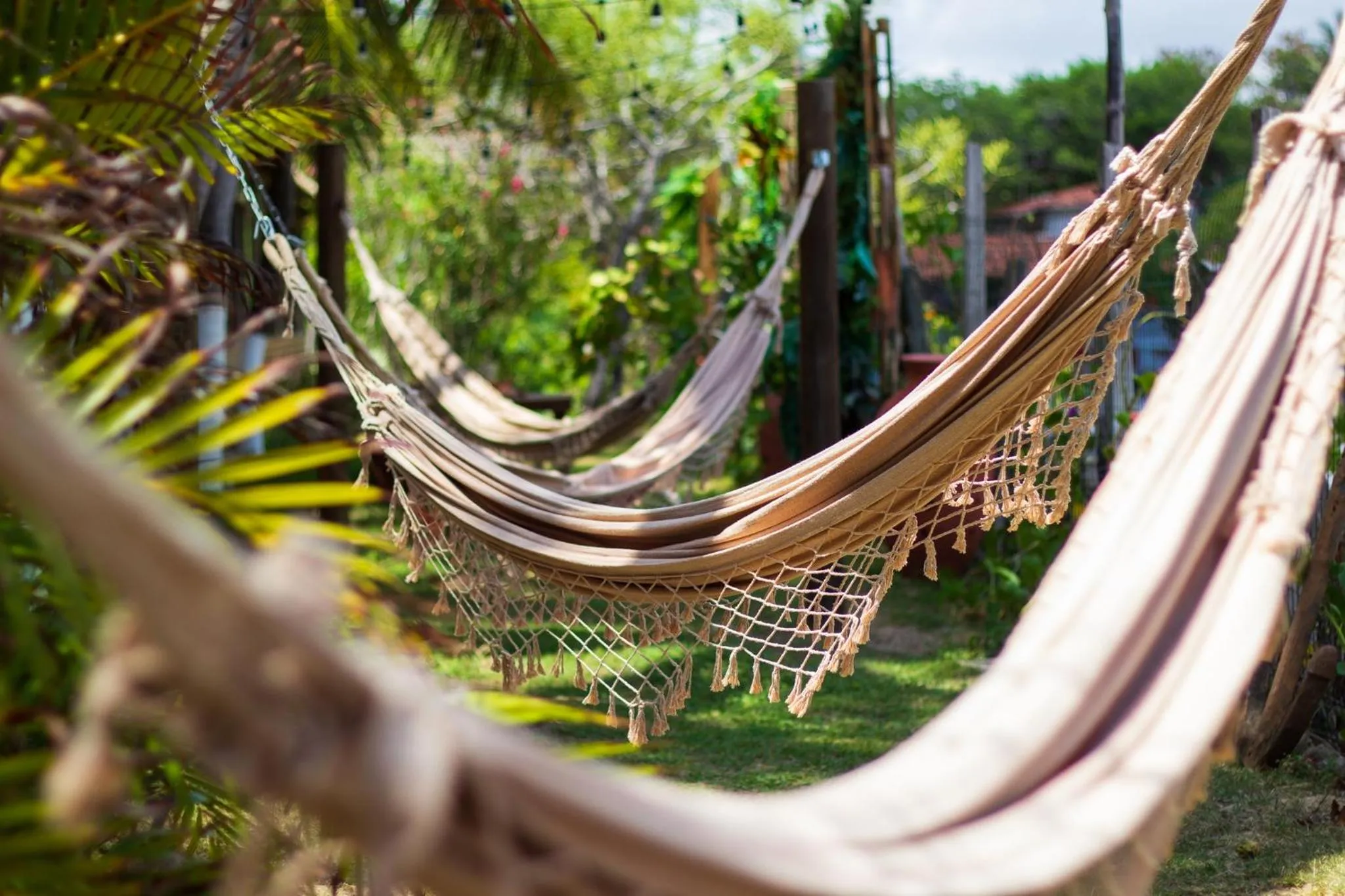 Garden in Pousada Encontro das Águas