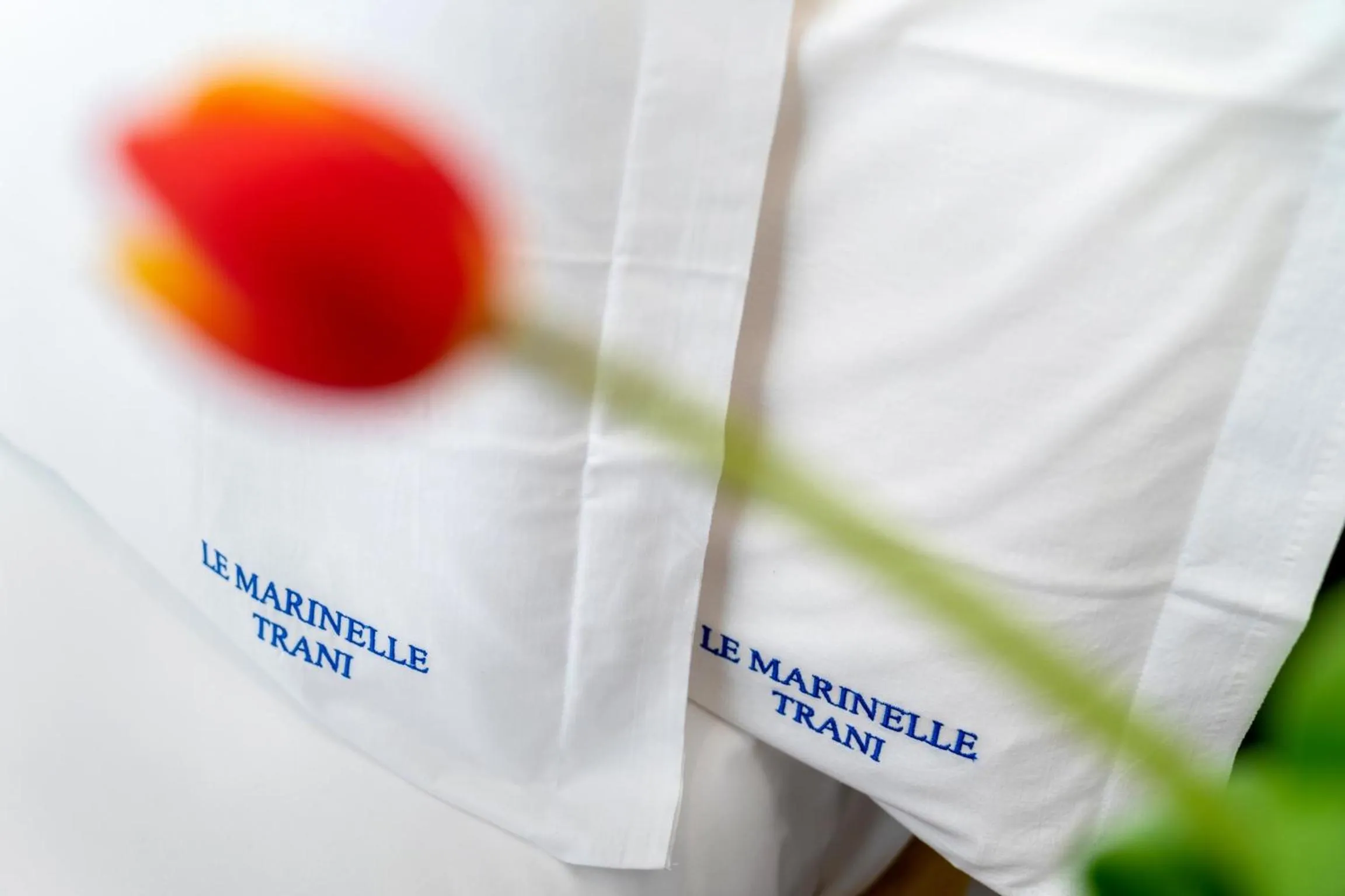 Logo/Certificate/Sign in Le Marinelle Aff Trani