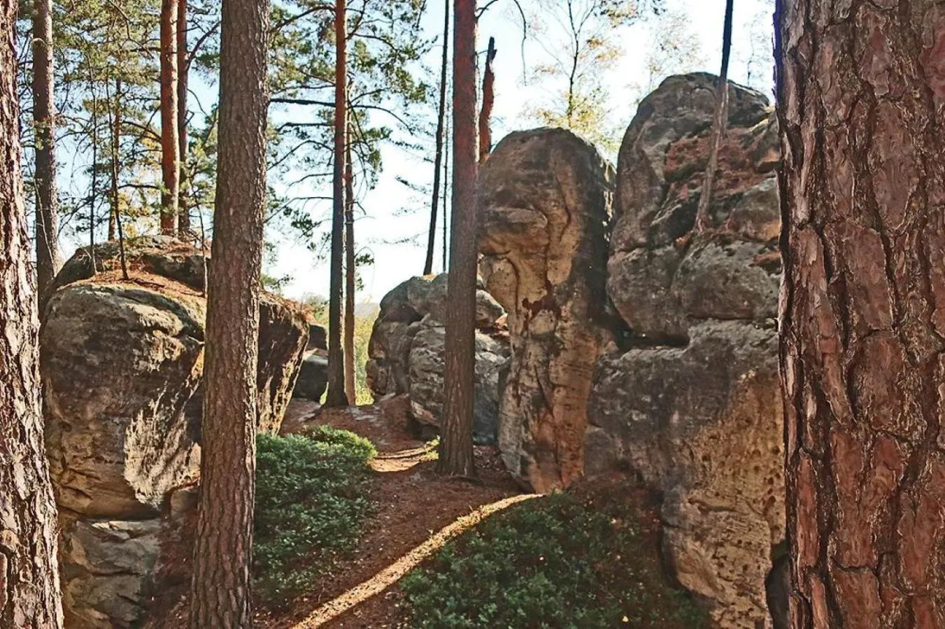 Nearby landmark in Hotel Kleis