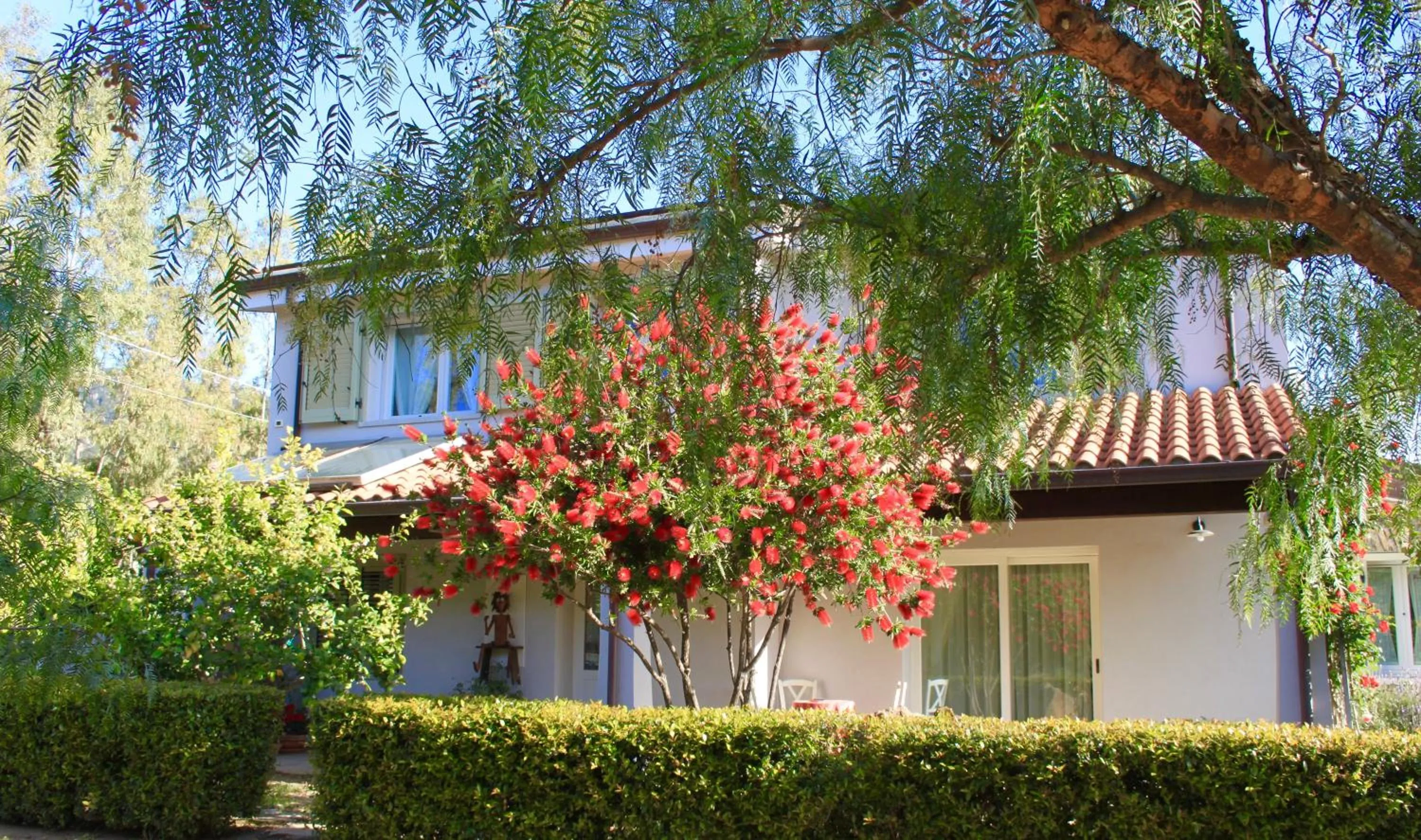 Property building in Rossofiore