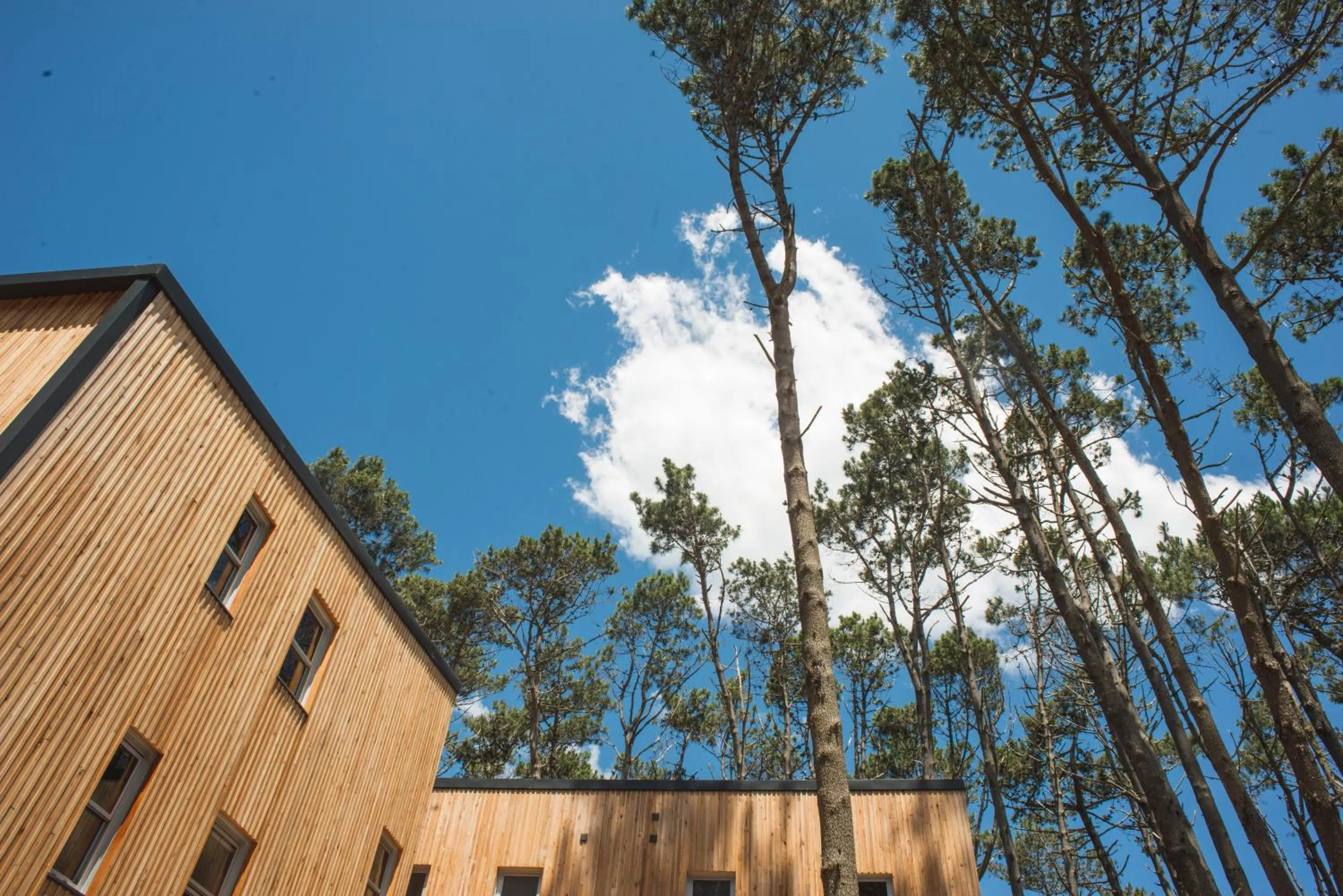 Wanderlust José Ignacio