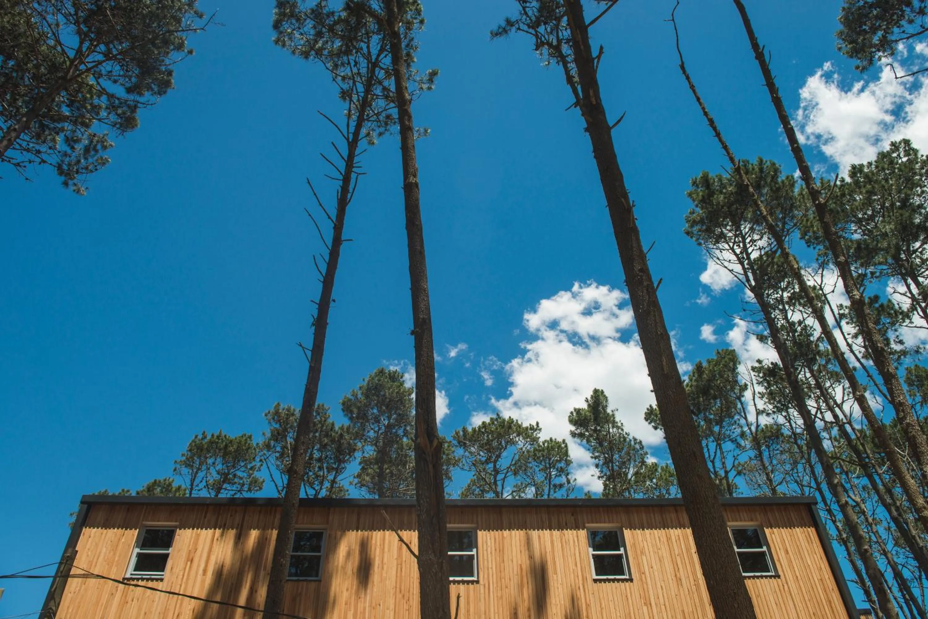 Wanderlust José Ignacio