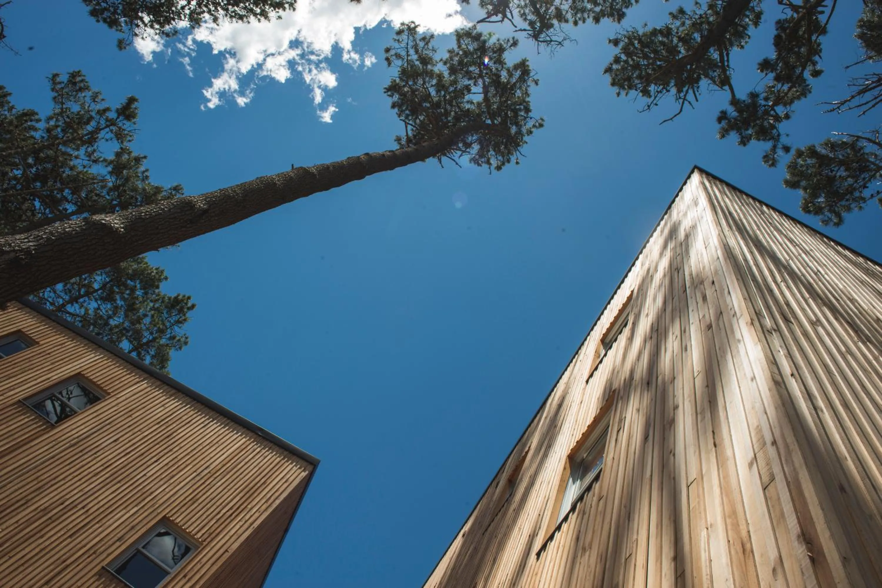 Wanderlust José Ignacio