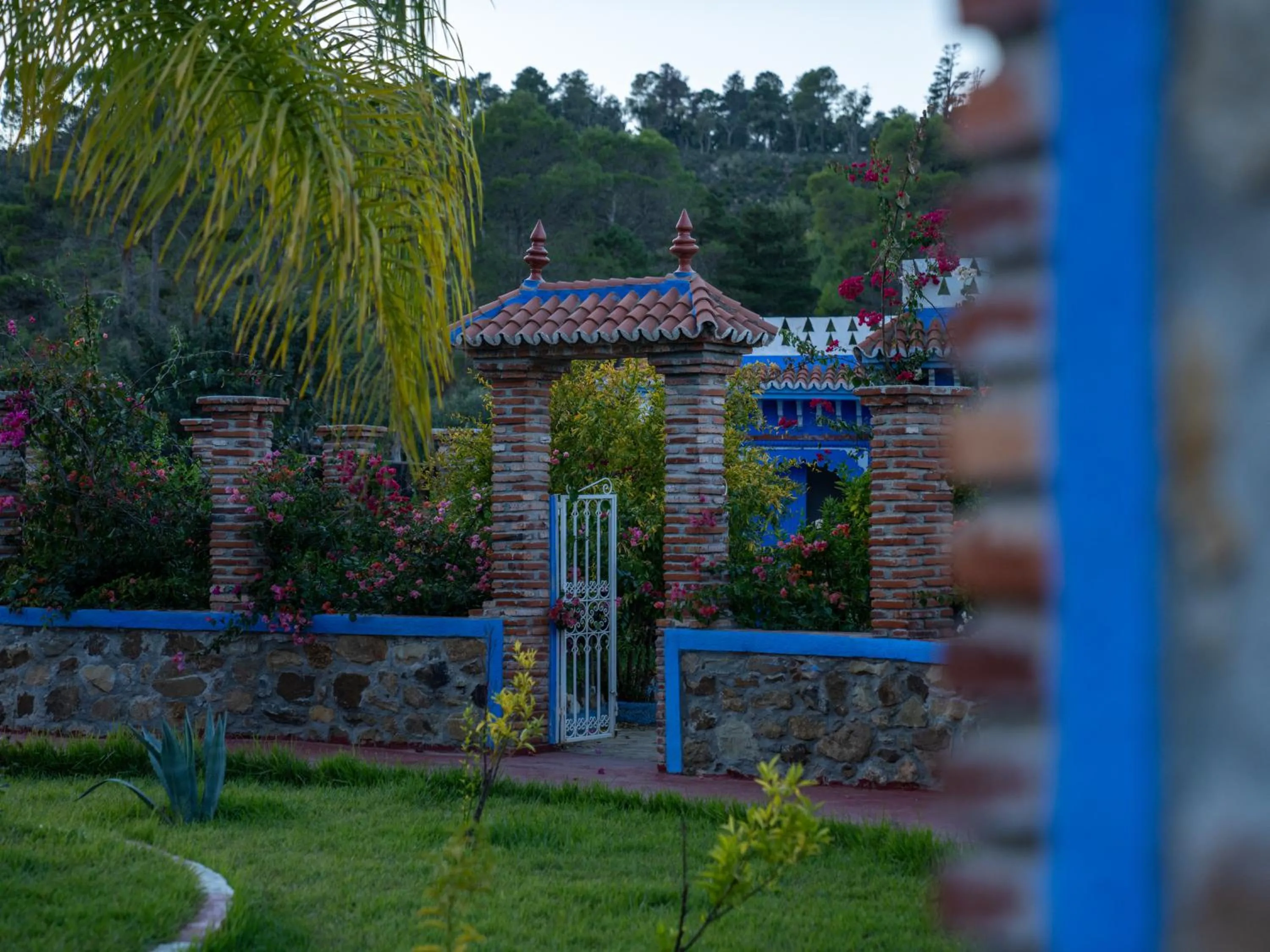 Garden in Dar Ba Sidi & Spa