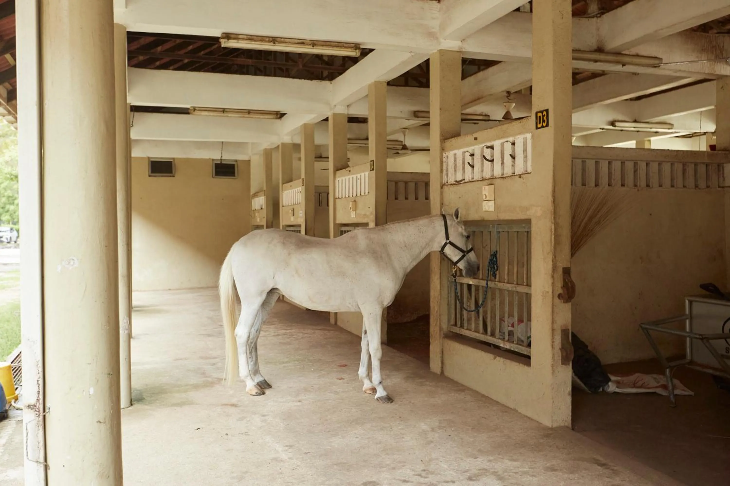 Horse-riding in Terengganu Equestrian Resort
