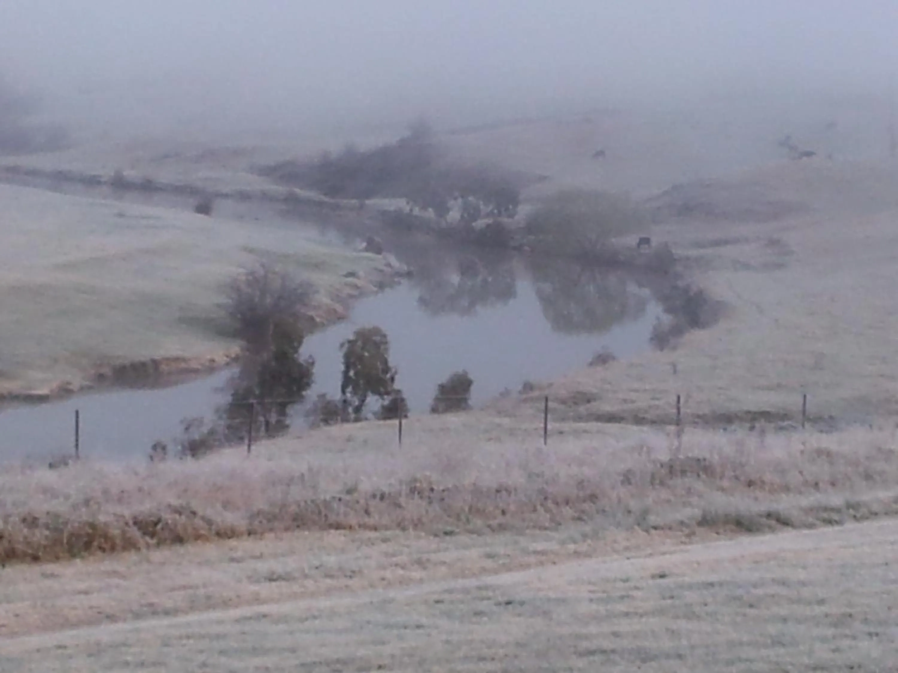 Natural landscape in Yass Motel